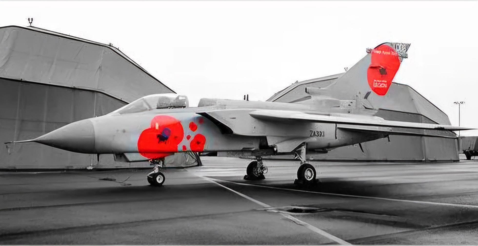 Reflective Moments: 'At the Cenotaph'
