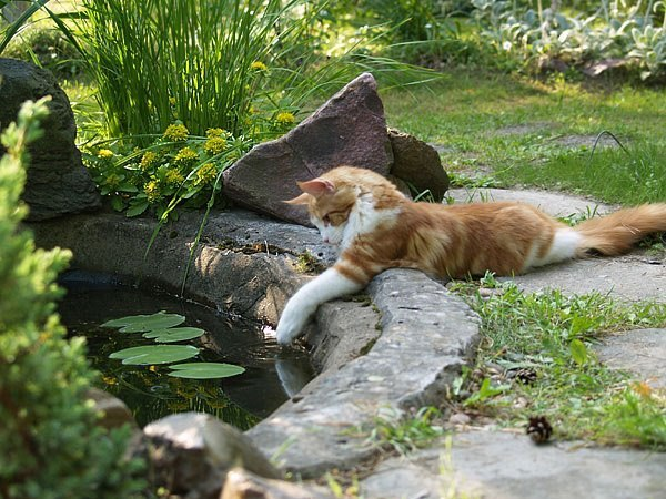 Getting a little touchy with the pond!