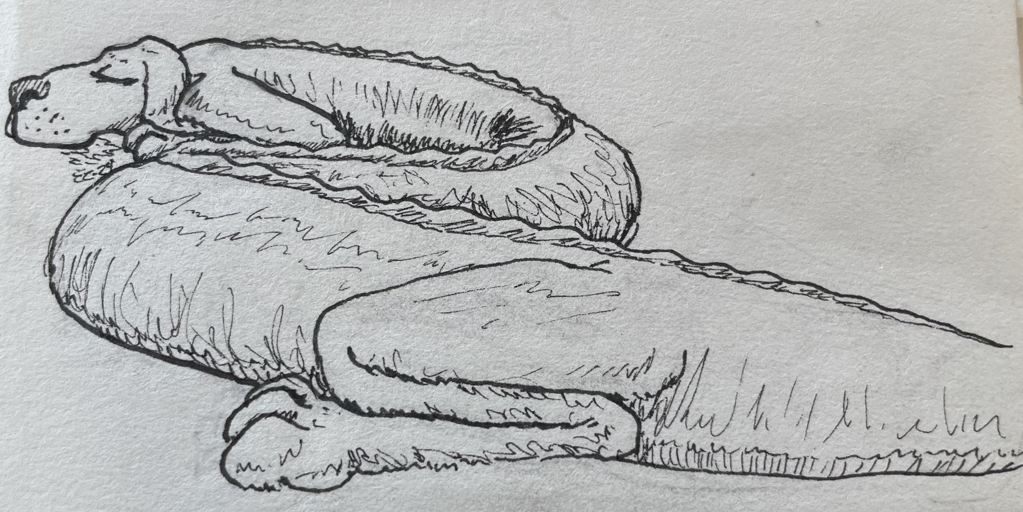 Inktober 2024 Day 19: The Mysterious 'Ridge'
