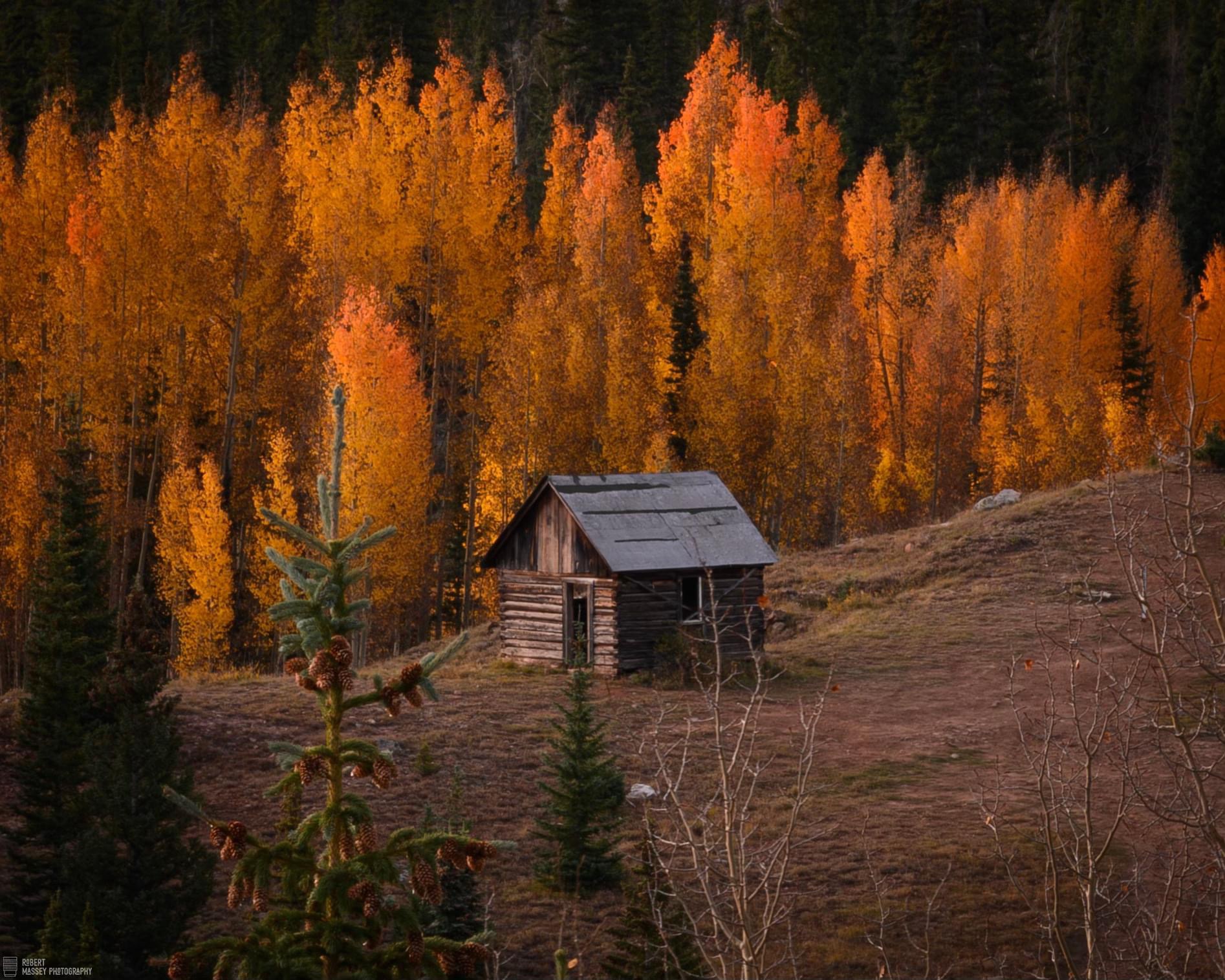 The Cozy Cabin Vibes