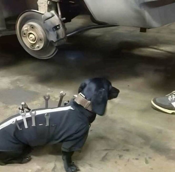 I’m Here to Help!