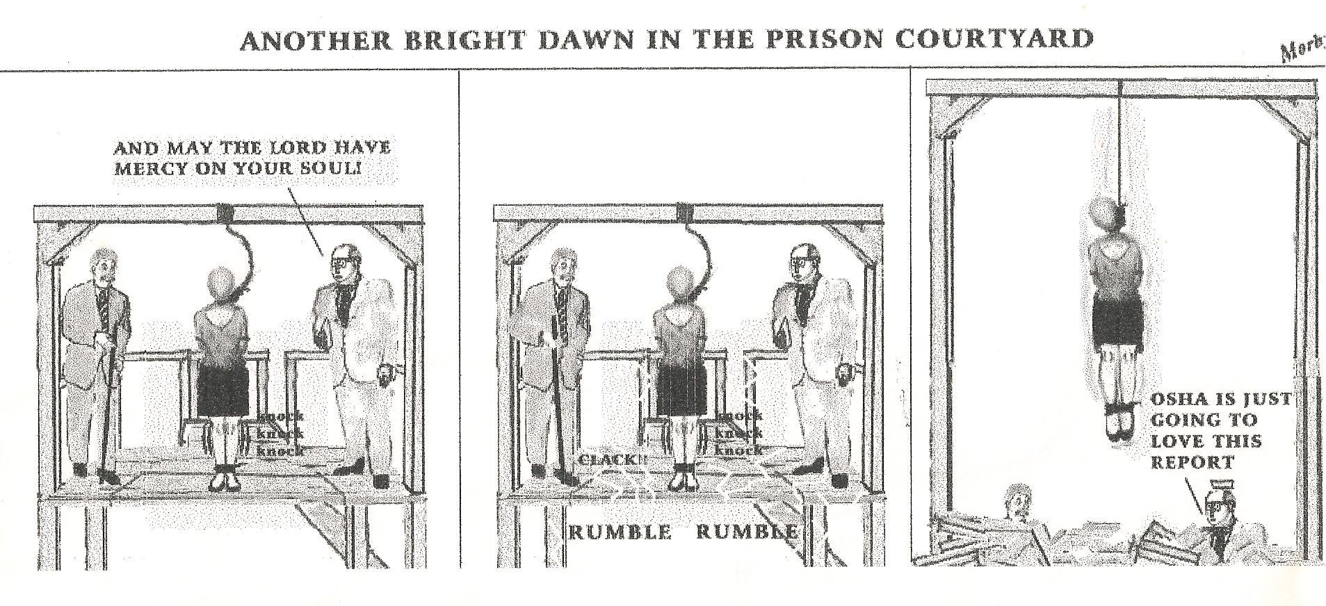 As an 'Evil Liberal', Will My Gallows Meet Trump’s Standards?