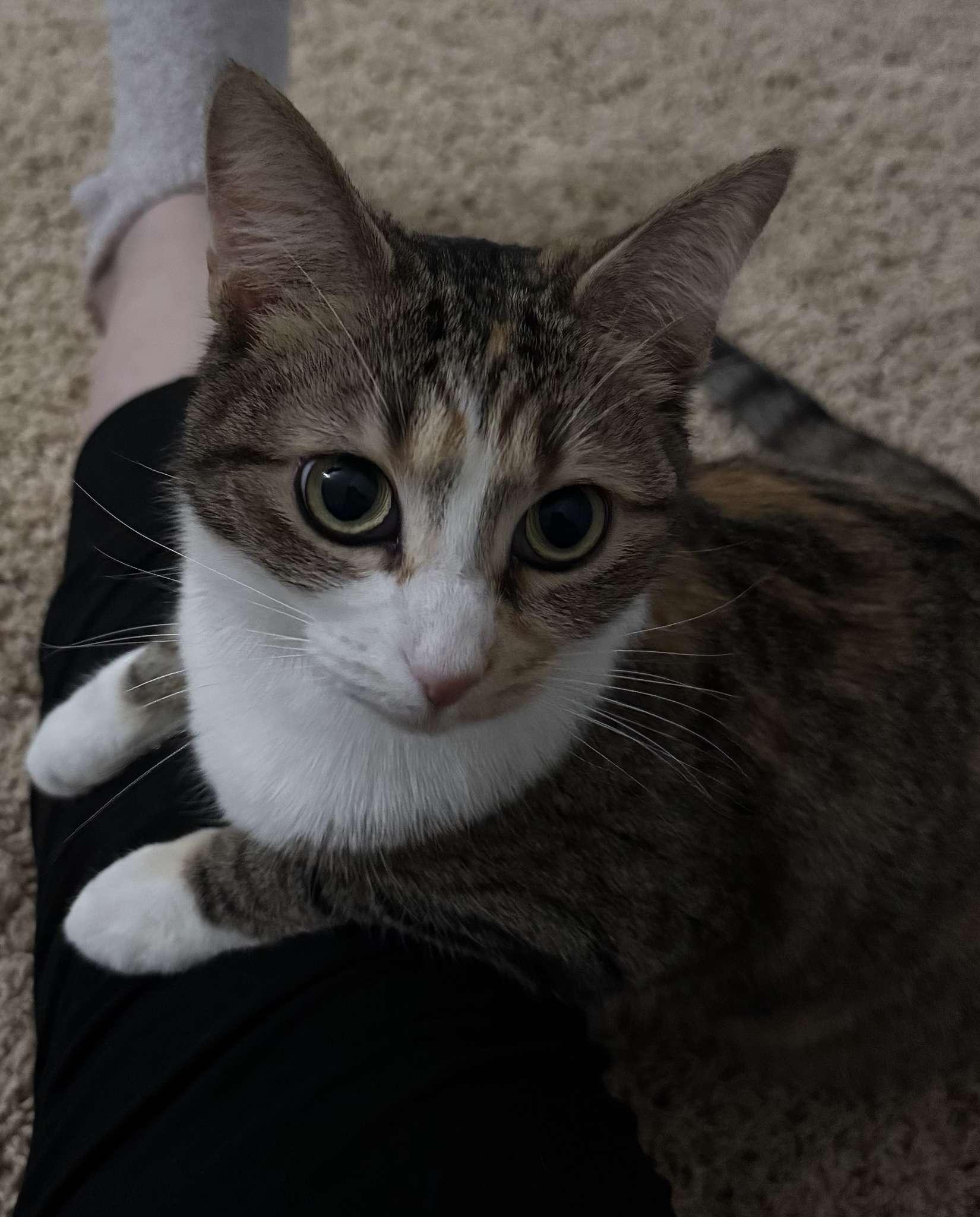 She may leave a mess everywhere, but I love her anyway