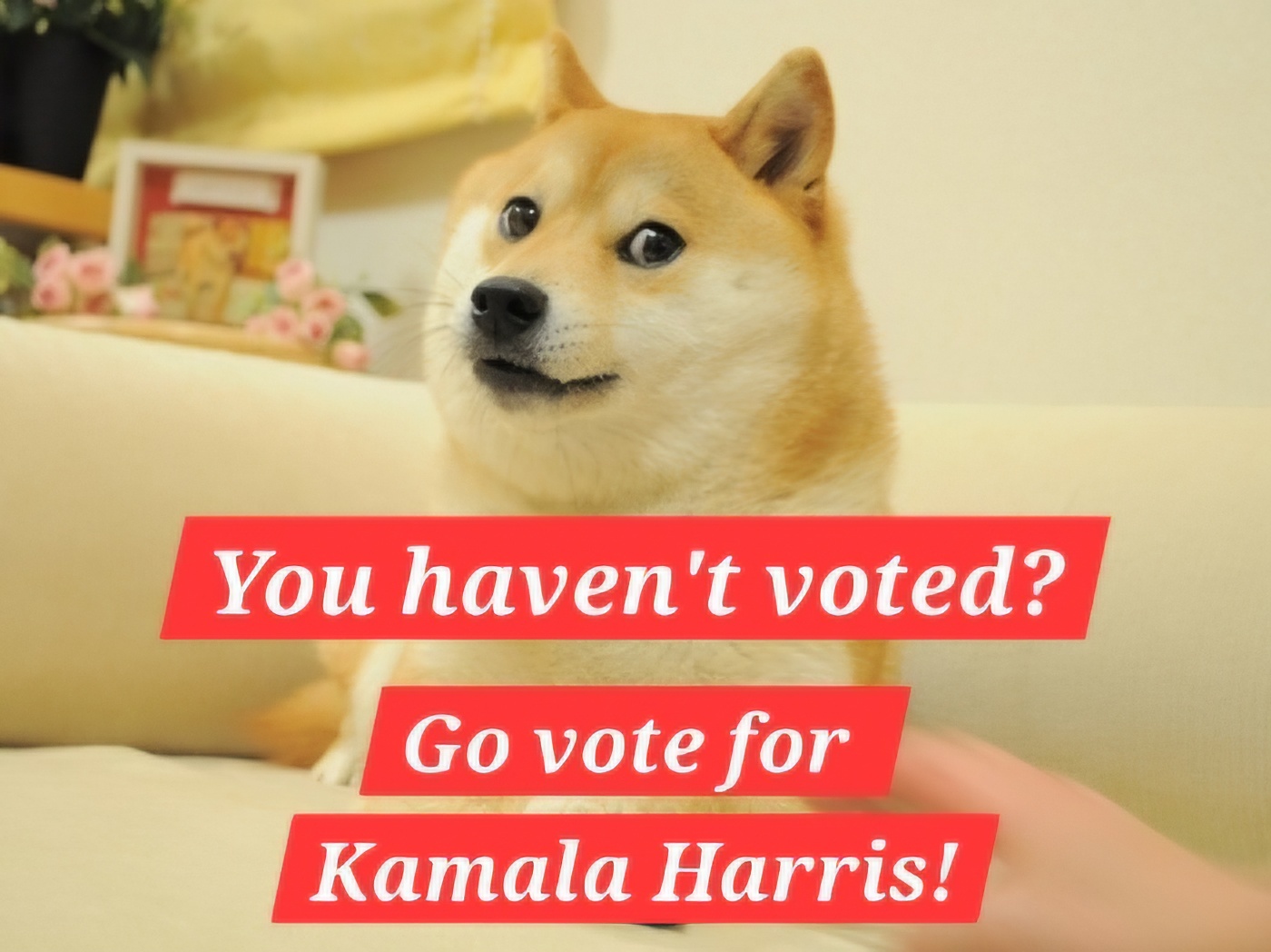 For the Love of Doge: Honor the Meme!