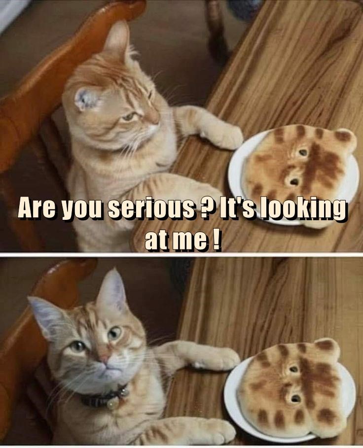 A Terrifying Sight!