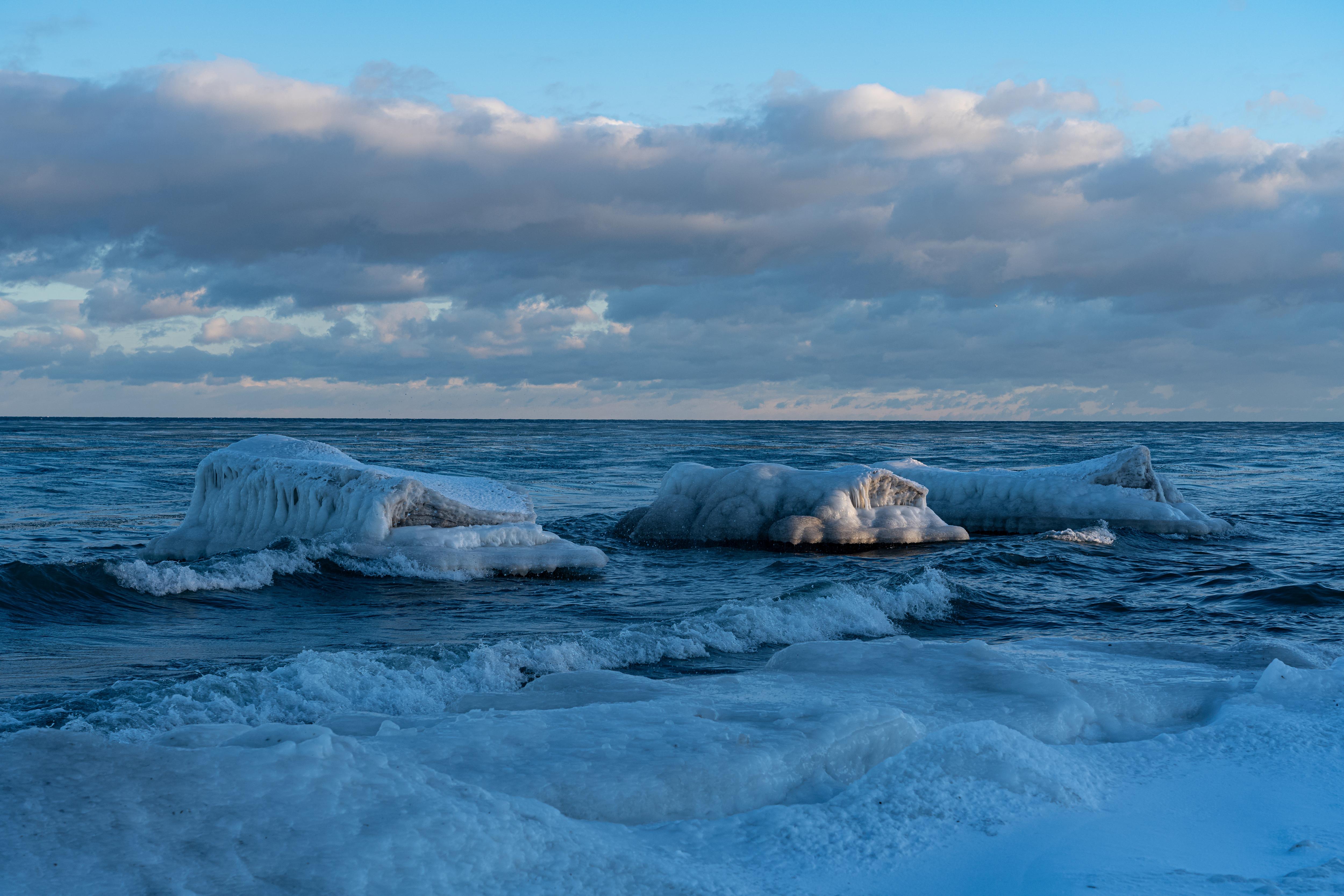 Exploring Charles Daley Park in January 2025