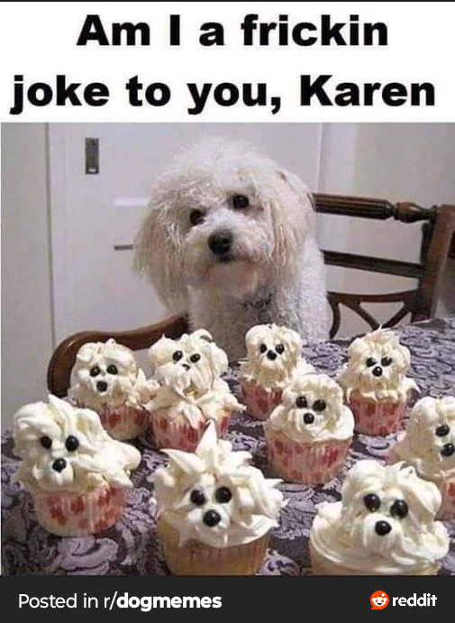 That Dog Deserved All the Recognition!