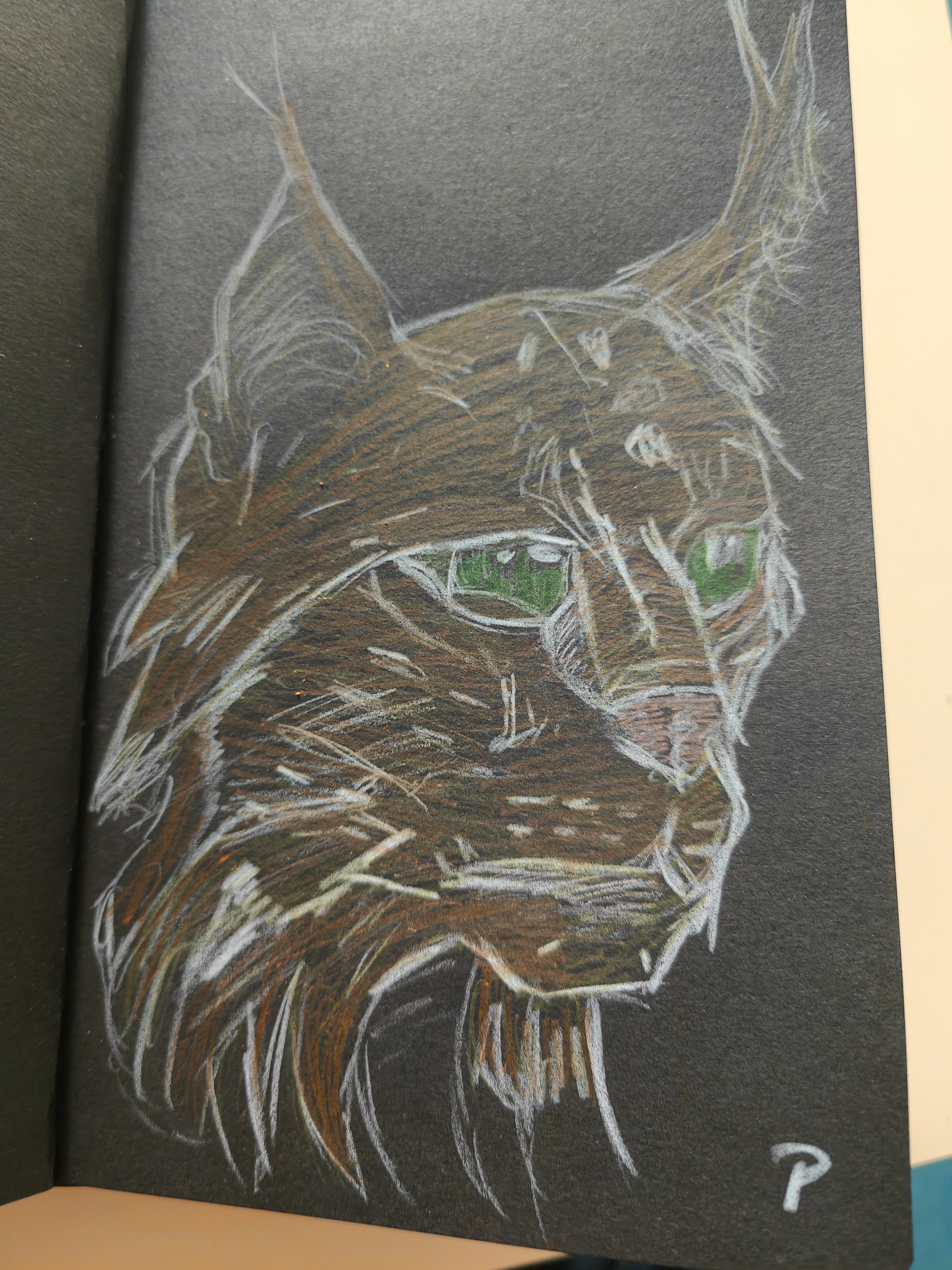 Attempting to Master the Art of Realistic Drawing.
