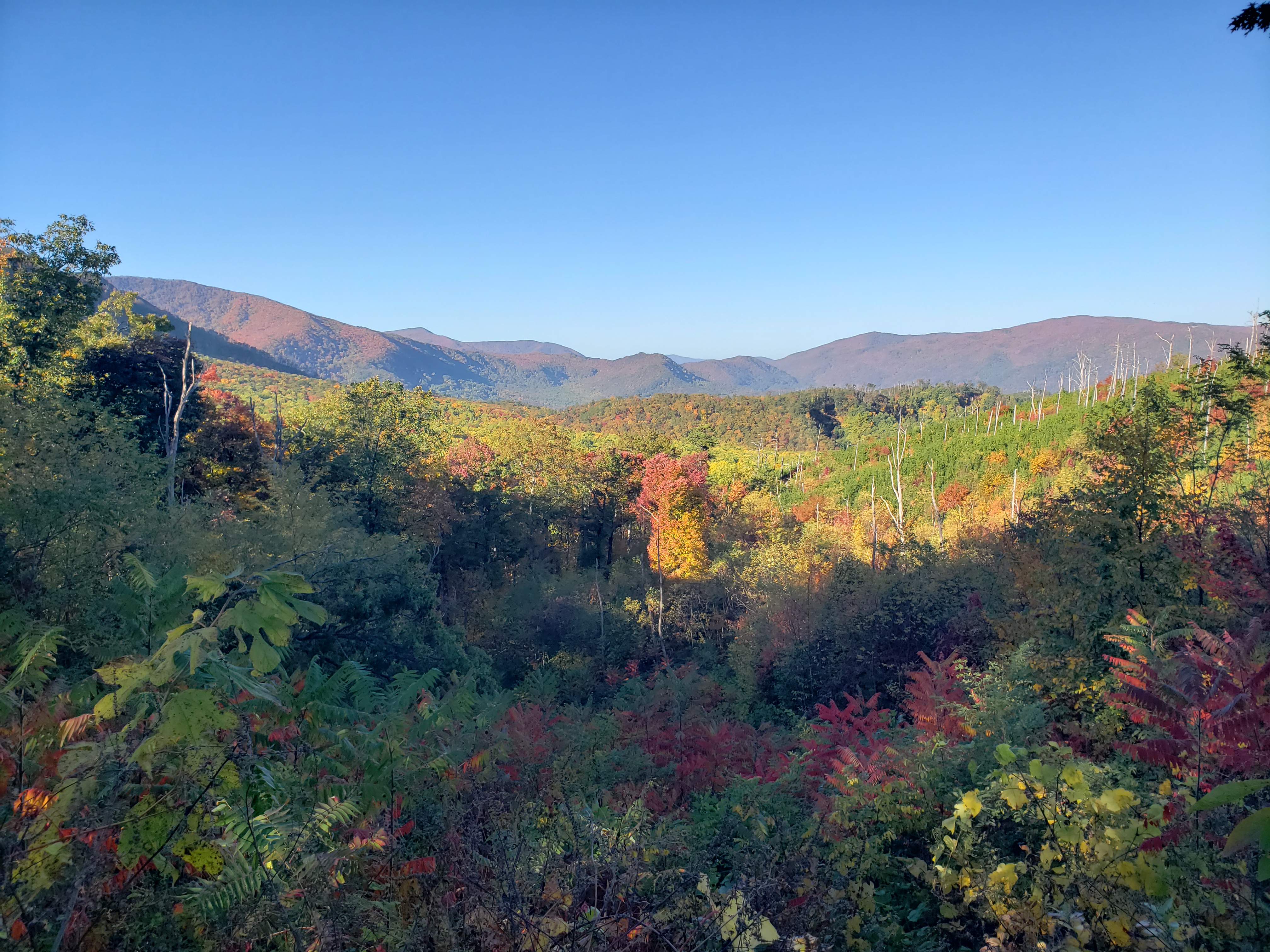 Breathtaking views of the Smoky Mountains this week