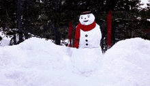 A Glimpse into Imgur's Current Vibe