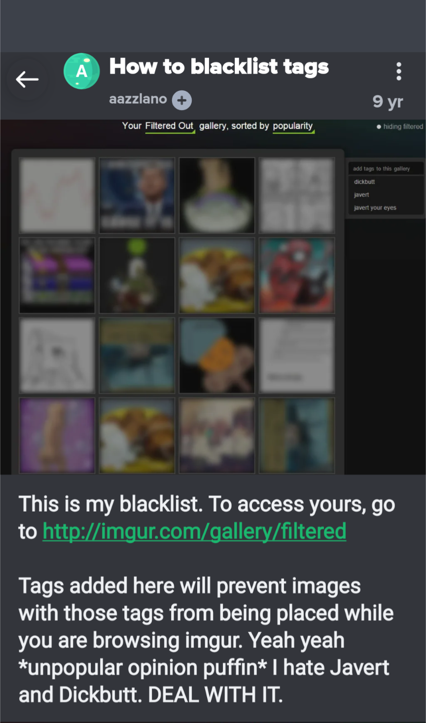 Welcome to my blacklist! For a smoother browsing experience on Imgurs, visit http://imgur.com/gallery/filteredTags to manage your filters.