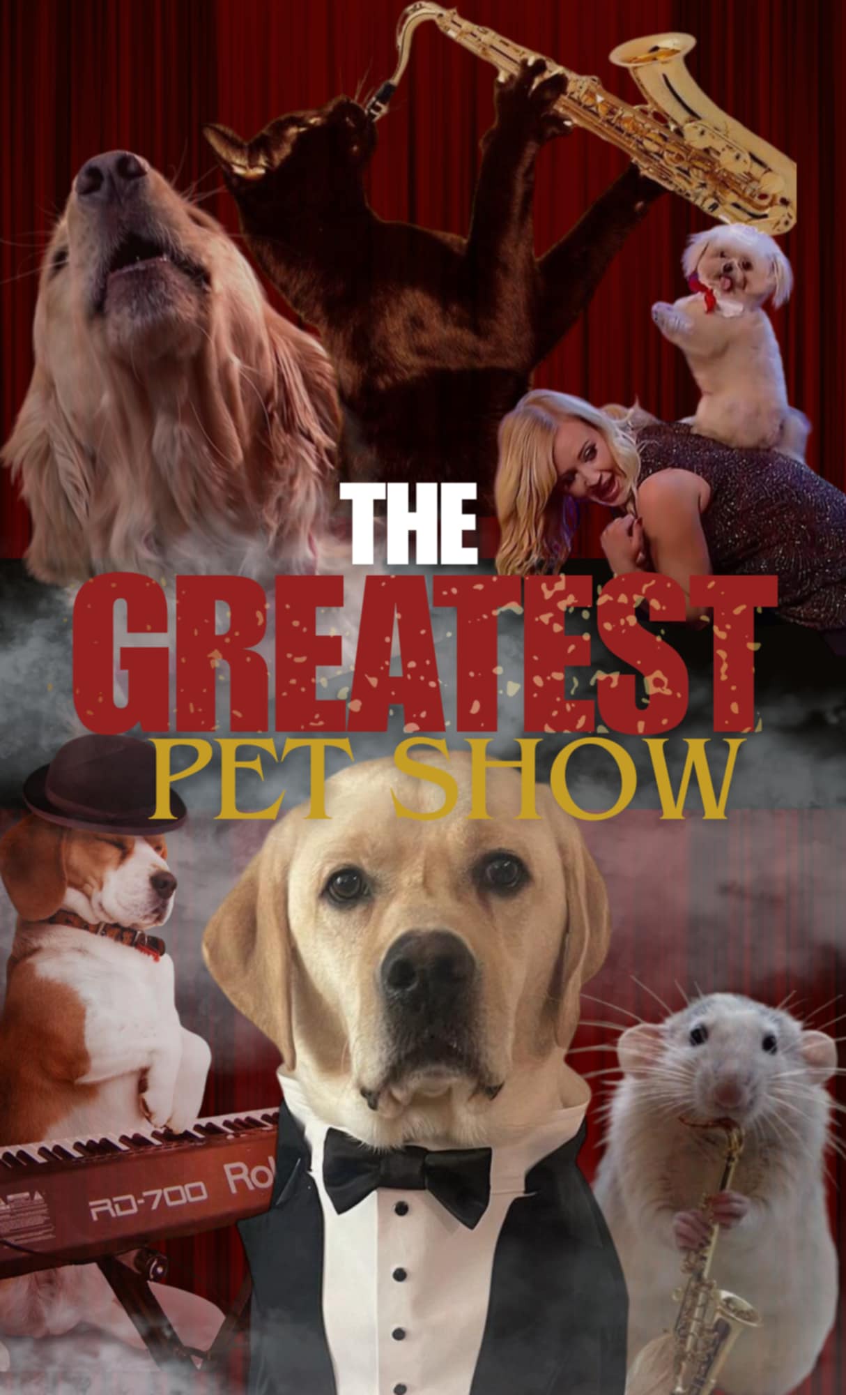 Celebrating Our Wonderful Furry Friends