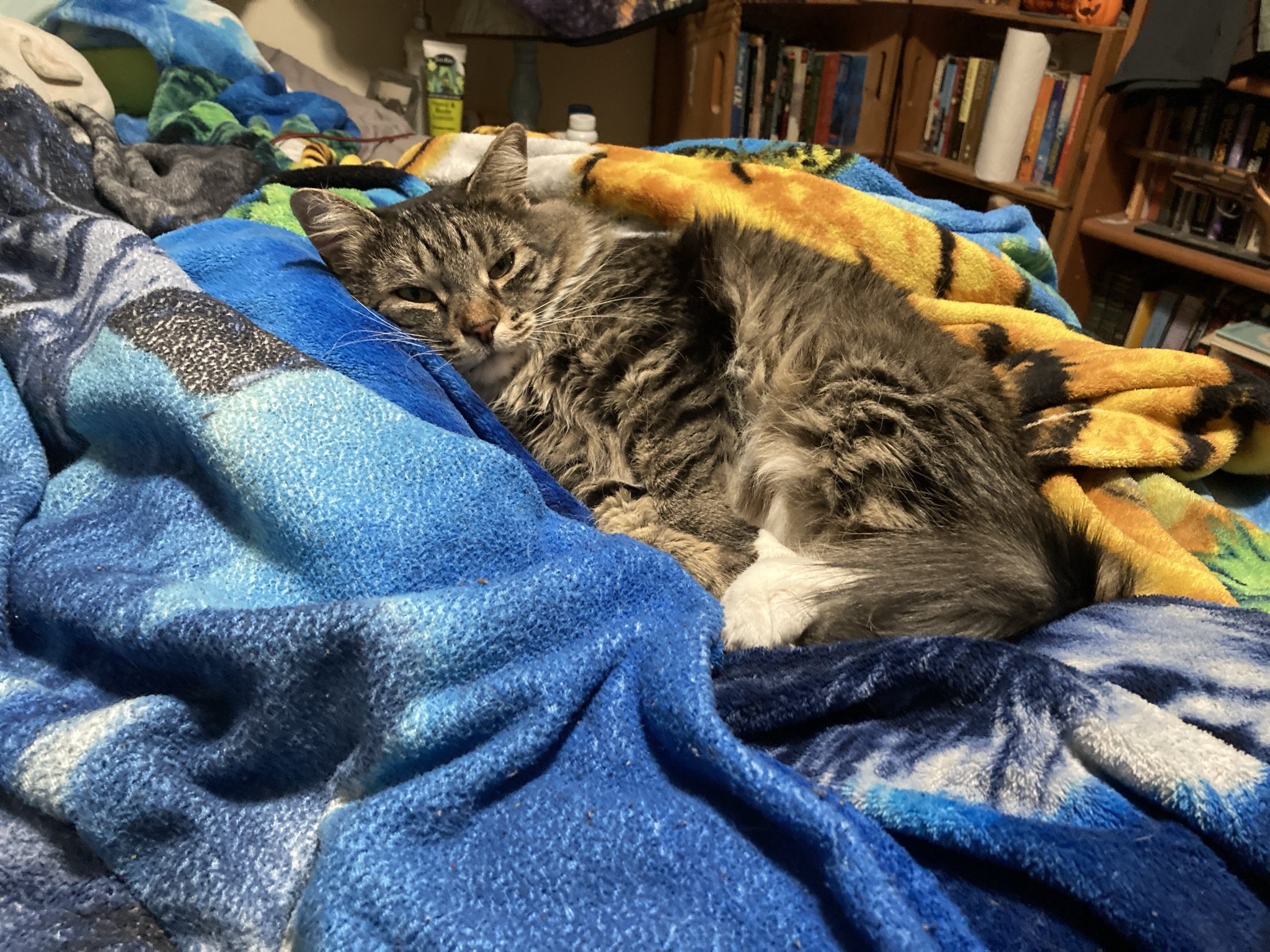 Cuddles with my adorable girl