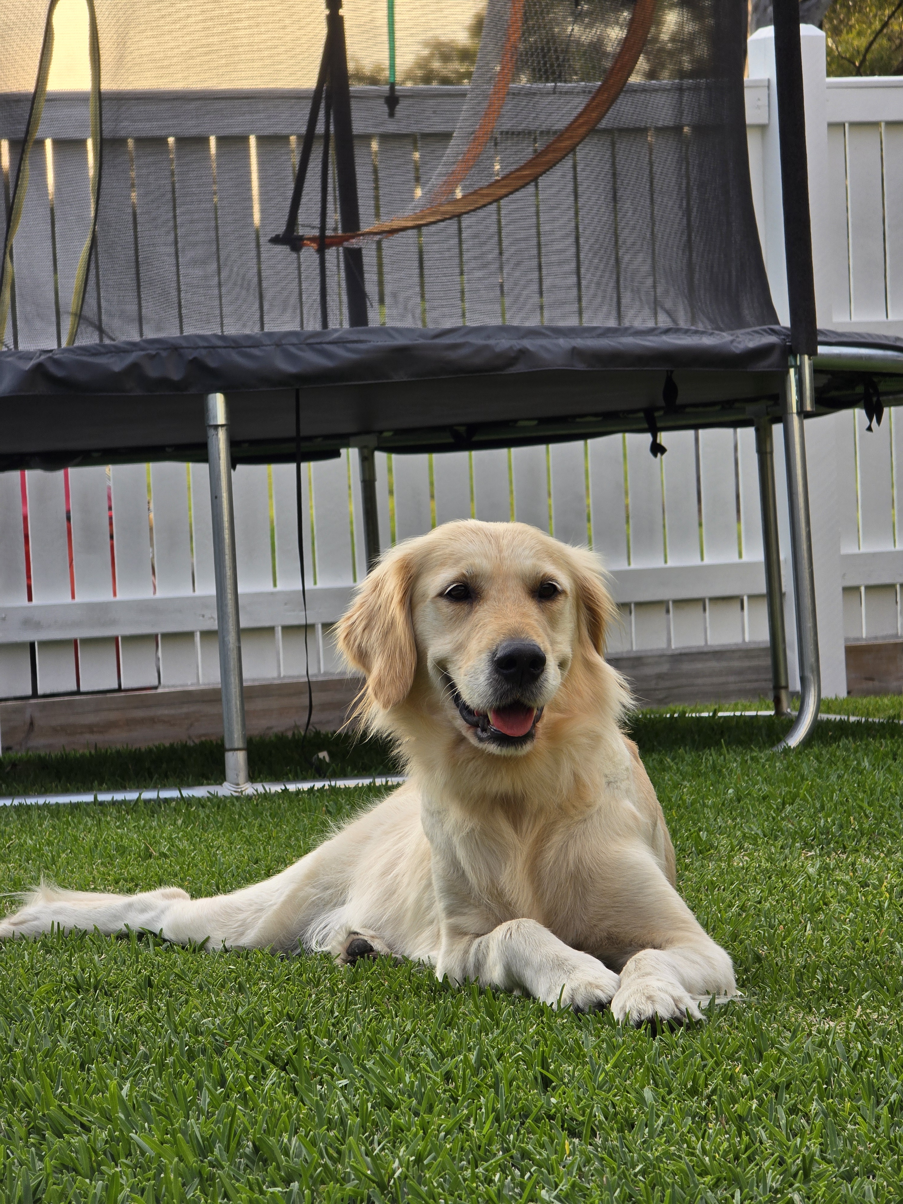 She's settling in beautifully to her forever home!