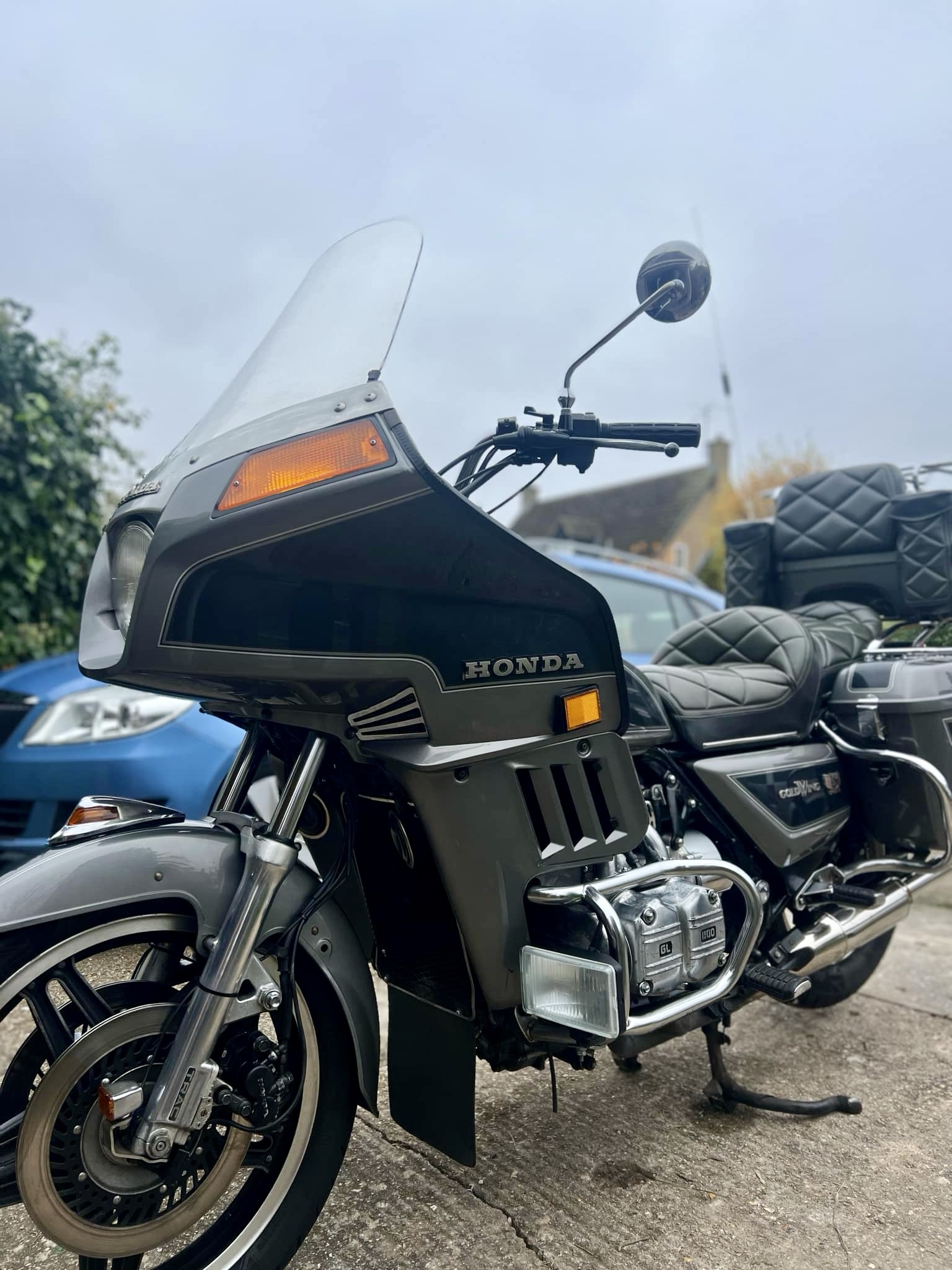 A Closer Look at the Detailed Goldwing