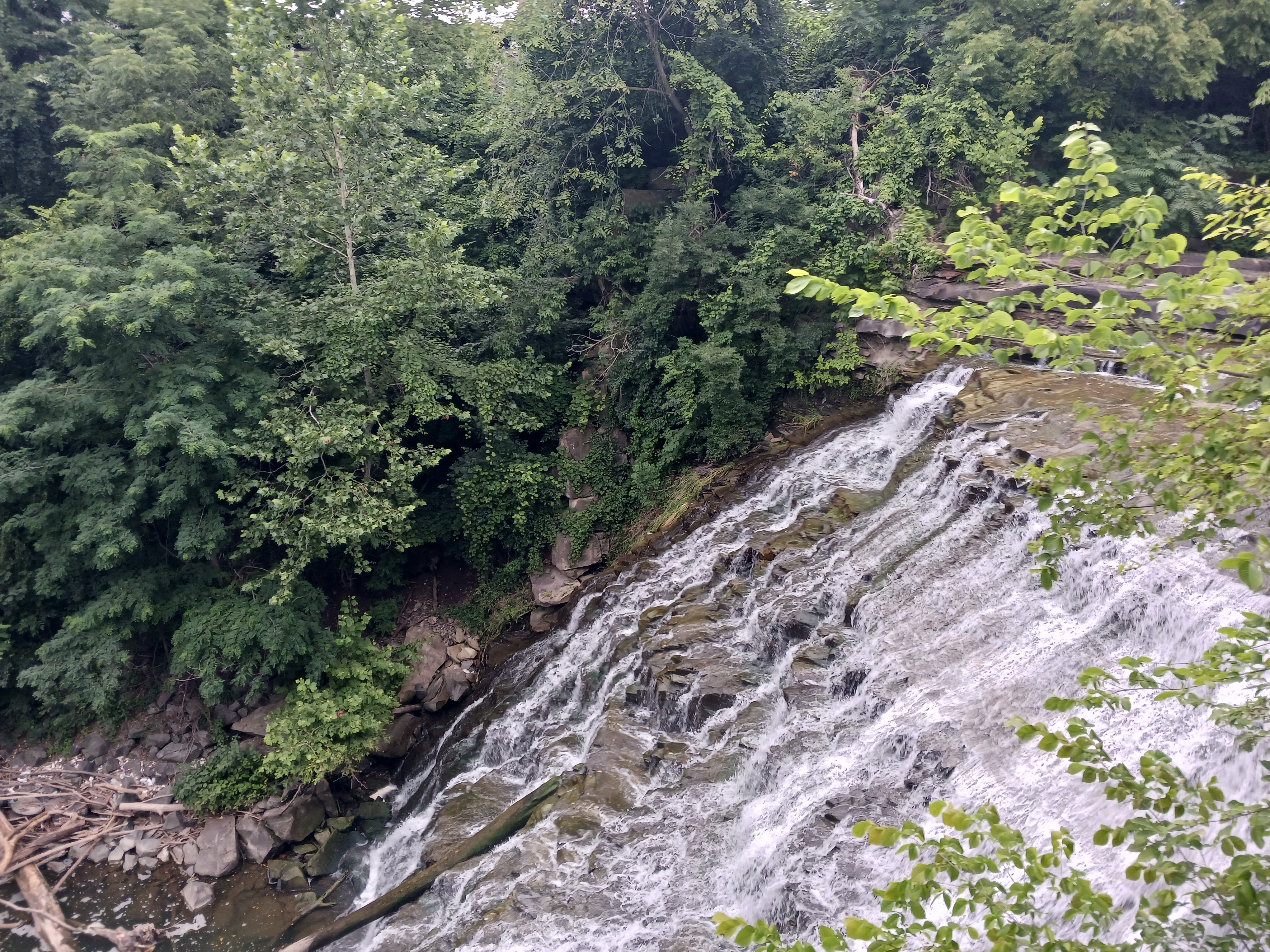 Discovering the Beauty of Mill Creek Falls