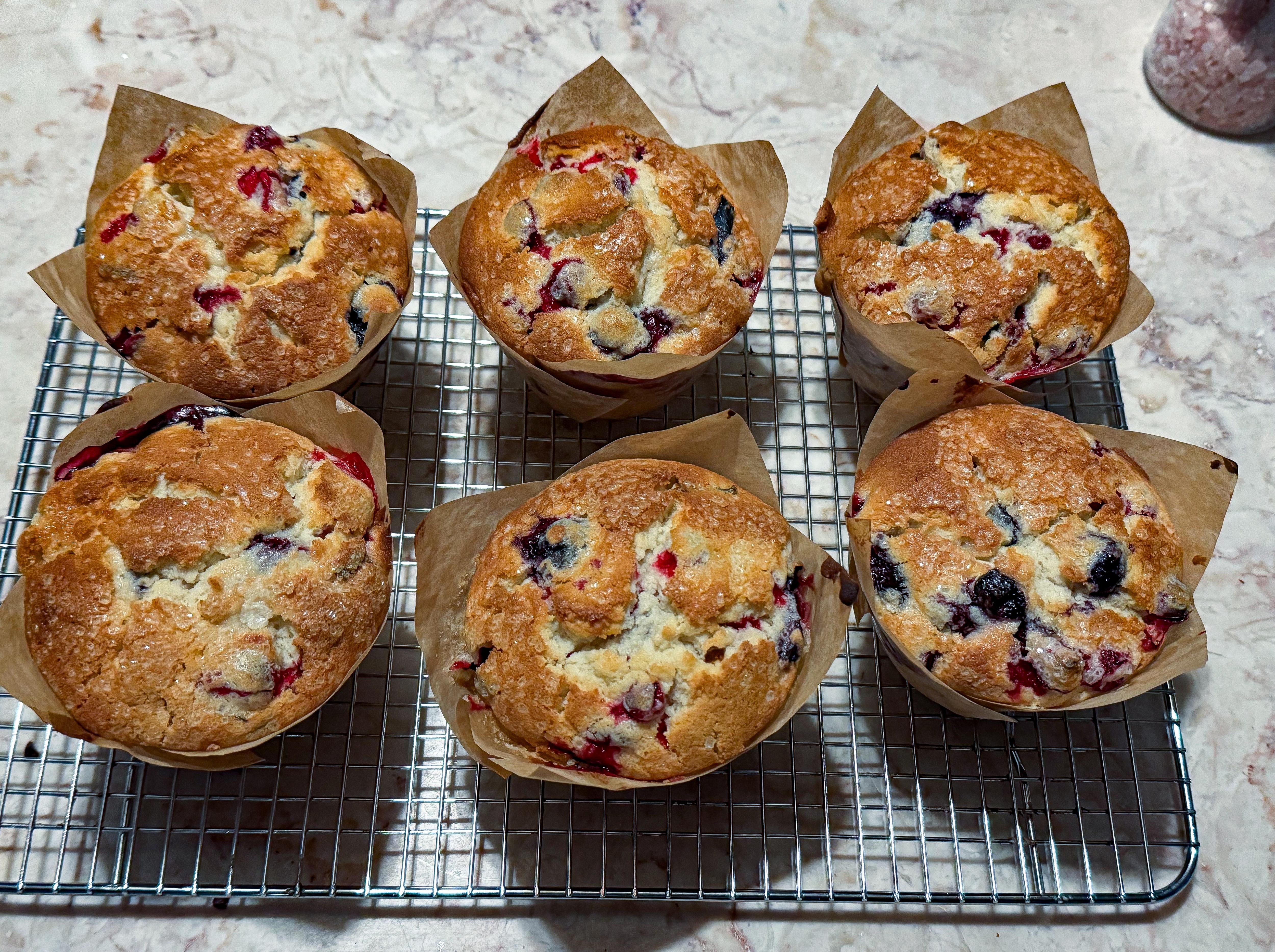 Delicious BlueCran Muffins to brighten your day!