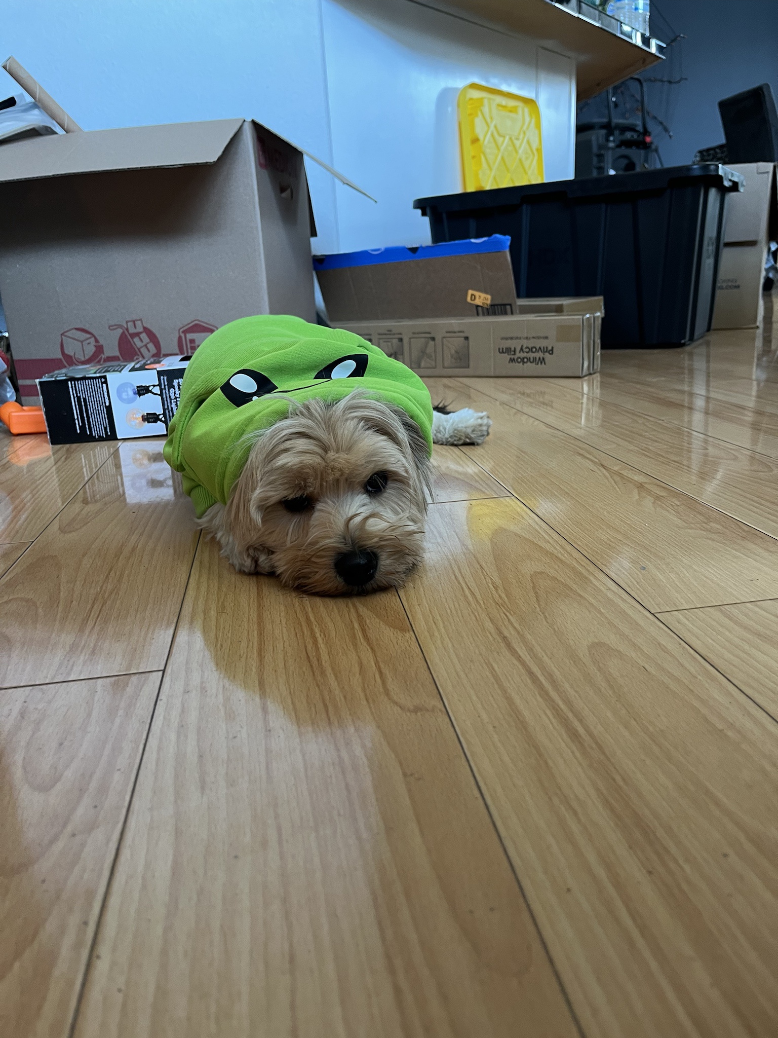 Miche's Exhaustion Reaches New Heights