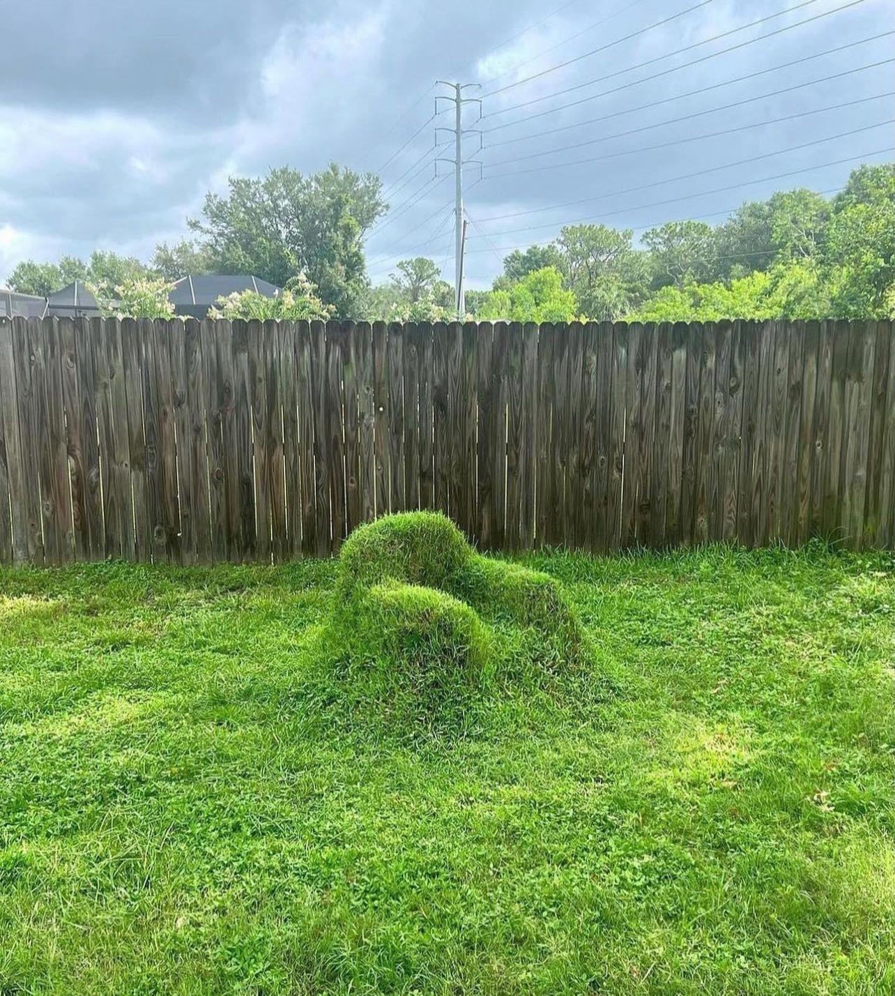 Six Months of Lawn Chair Transformation
