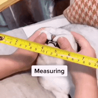 The Intriguing World of Forensic Science