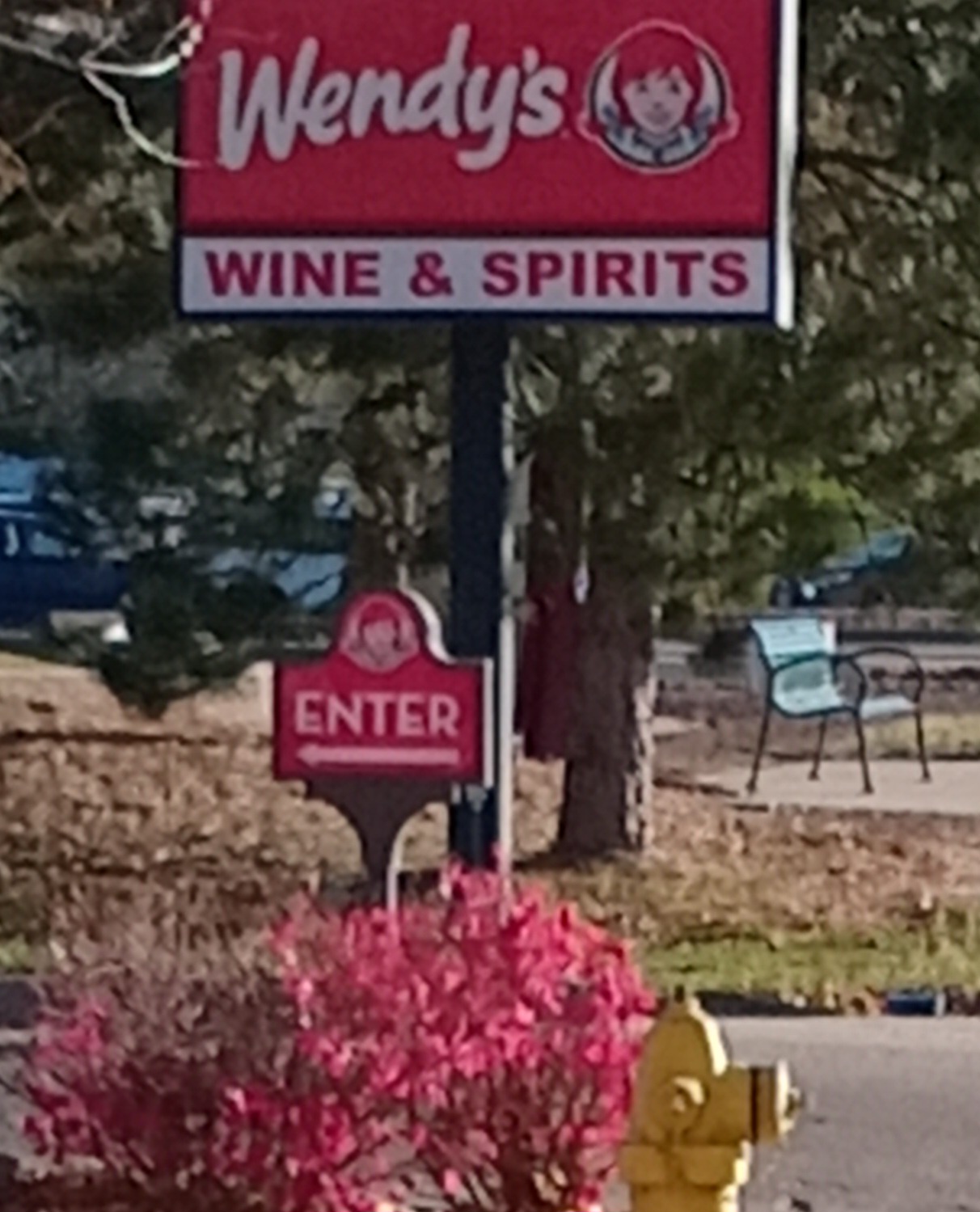 Wendy's is branching out in exciting new ways...