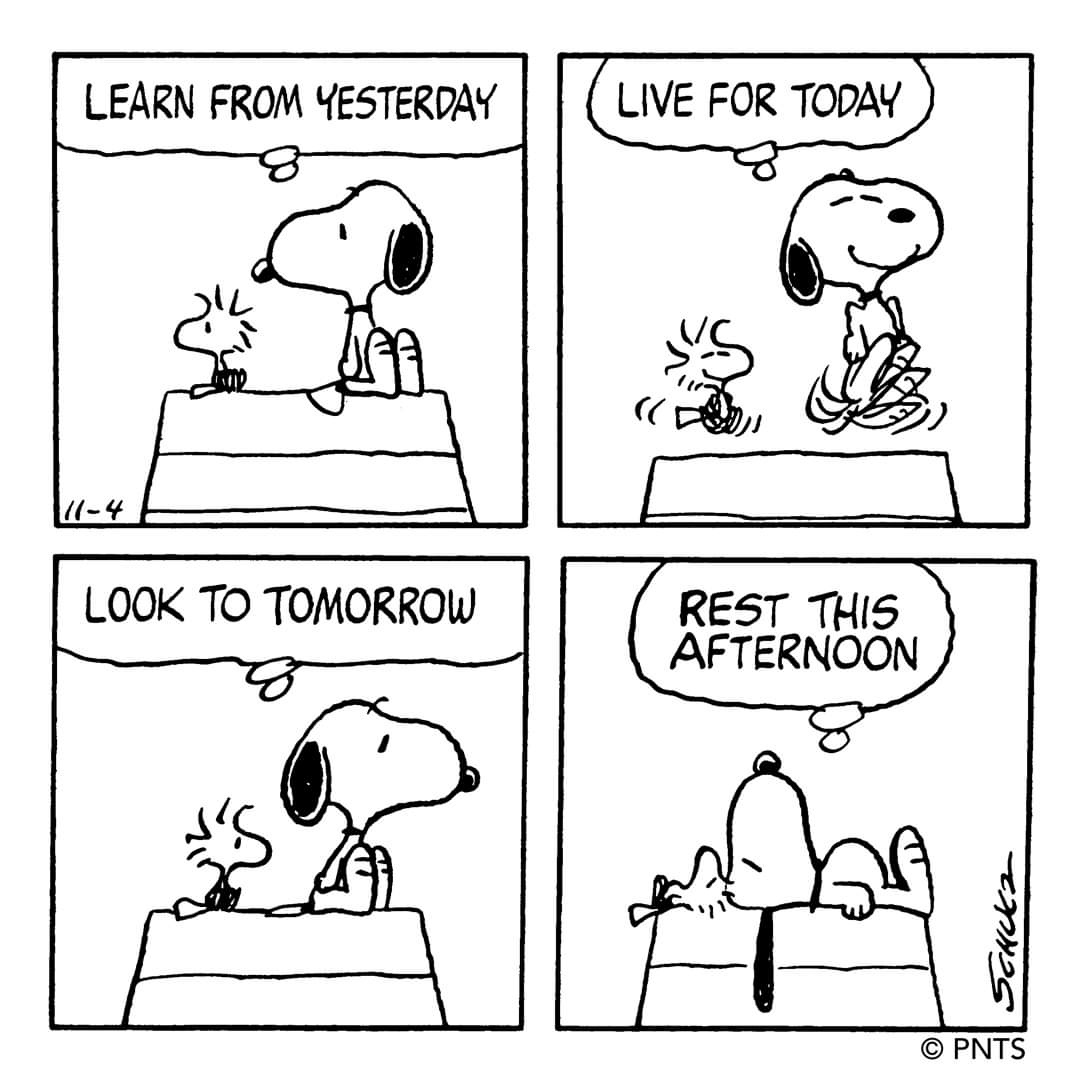Snoopy's Wisdom: Life Lessons from a Beloved Beagle