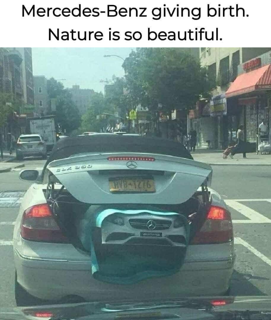 So Adorable!
