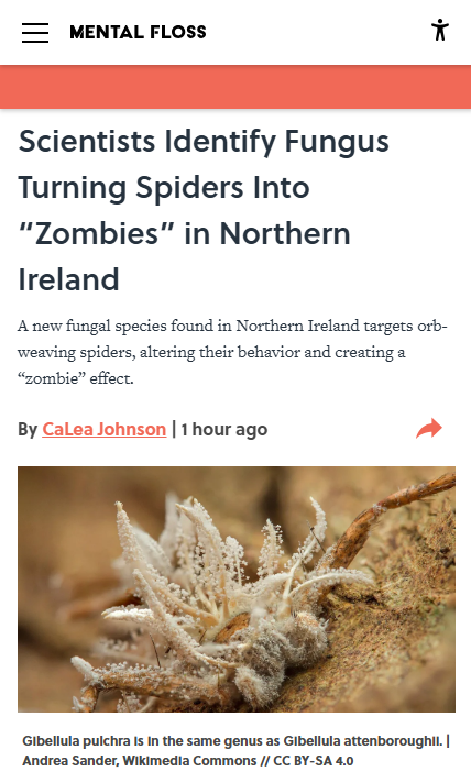 The Spooky Irish Spiders of The Last of Us