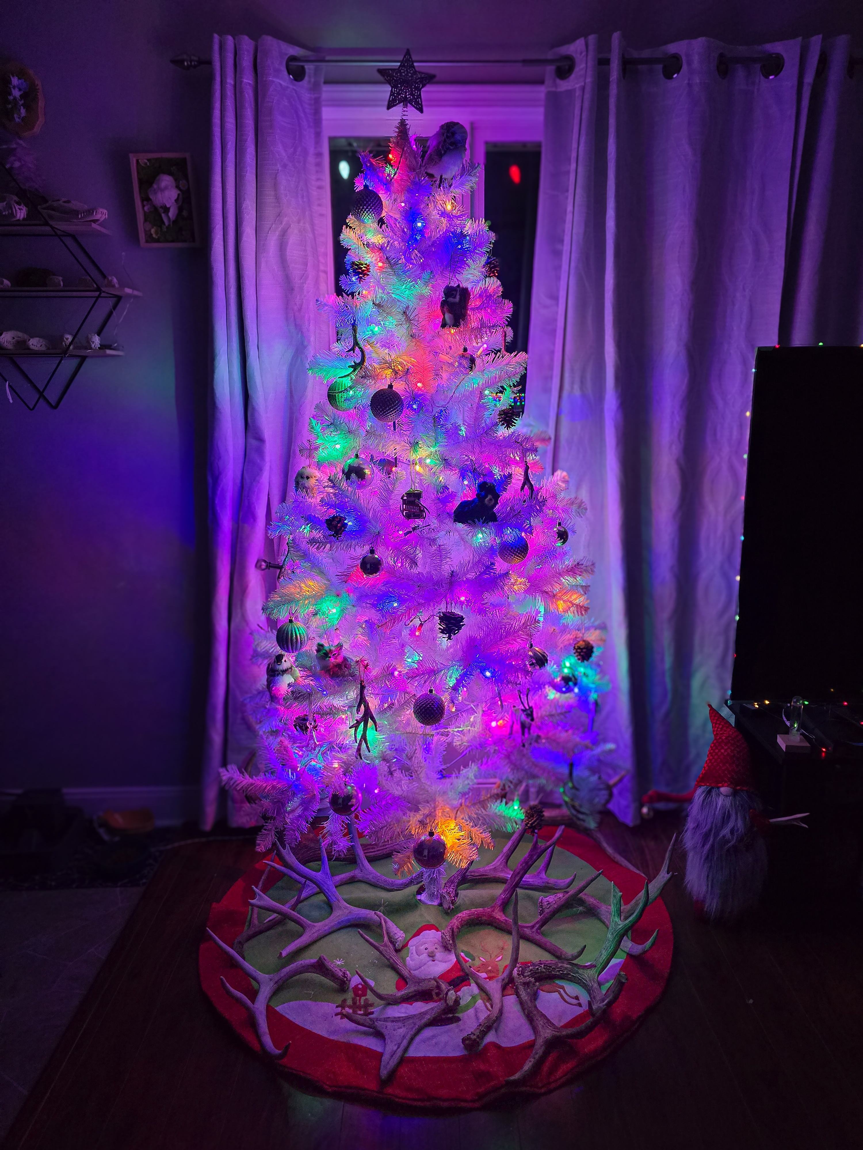 I finally set up my quirky holiday tree today!