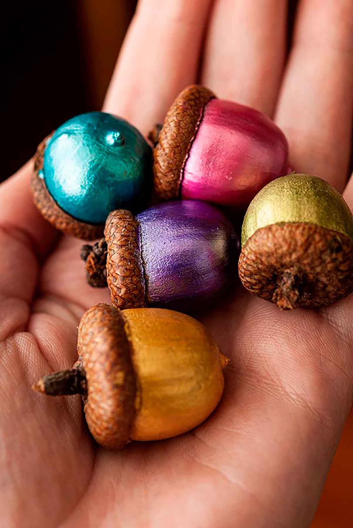 Let's gather more acorns for everyone's entertainment!