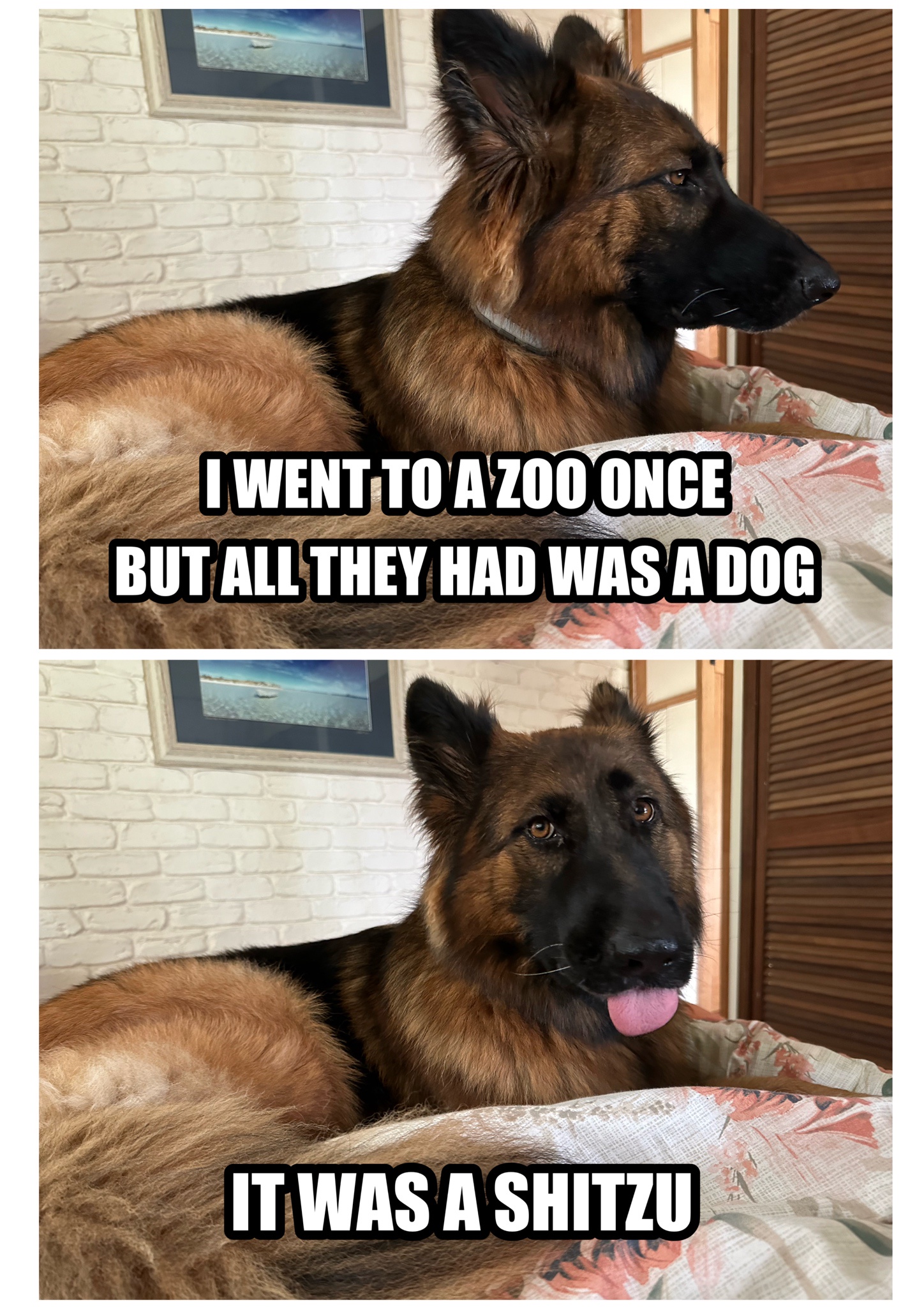 Just Kidding: The Classic Prank