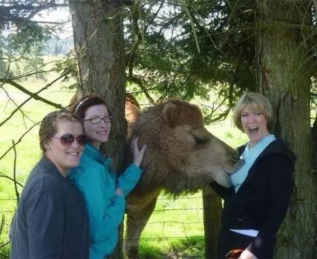 If I had known it was going to be that wild of a party...