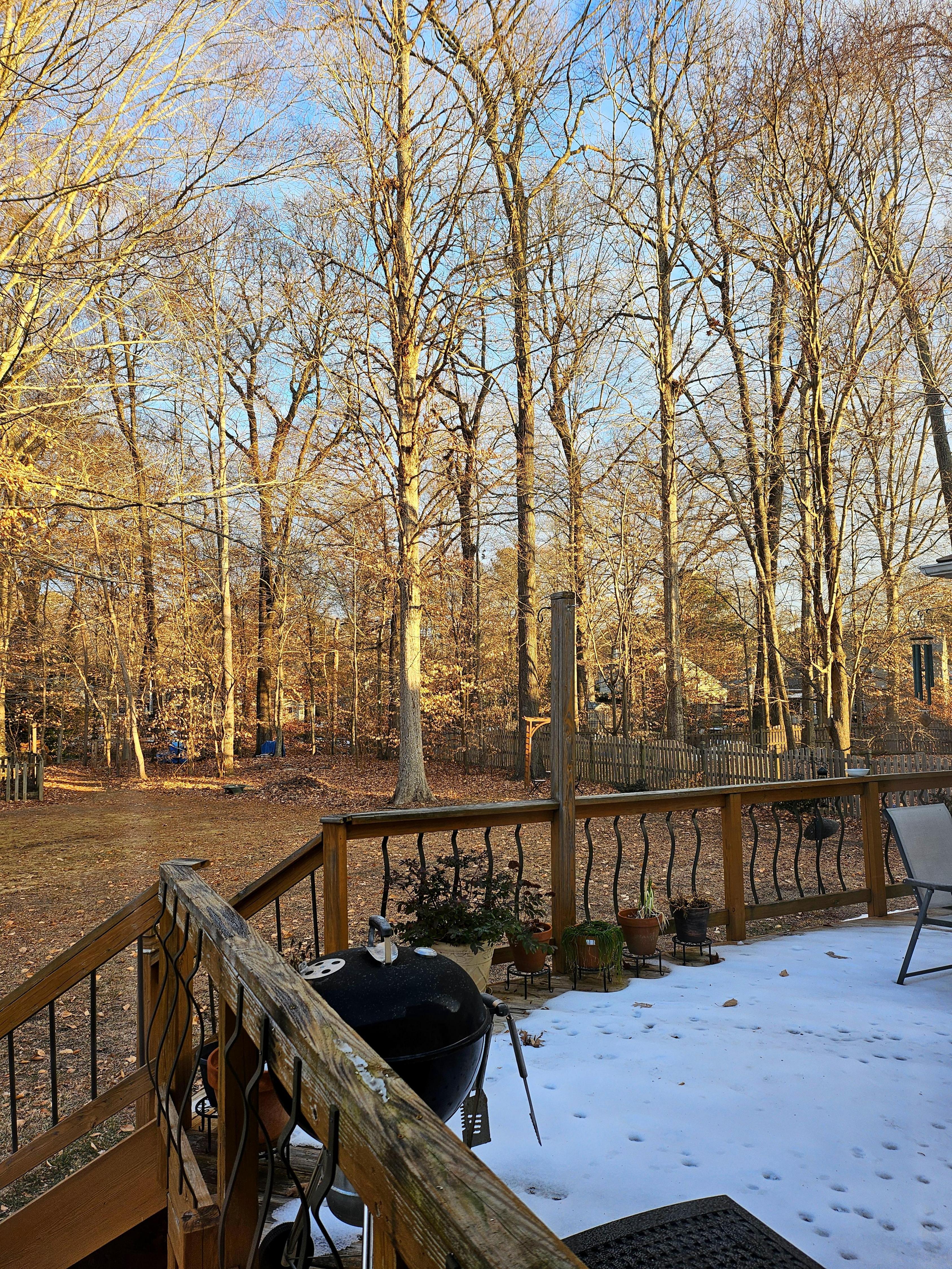 A Beautiful Sunrise Illuminating Our Backyard