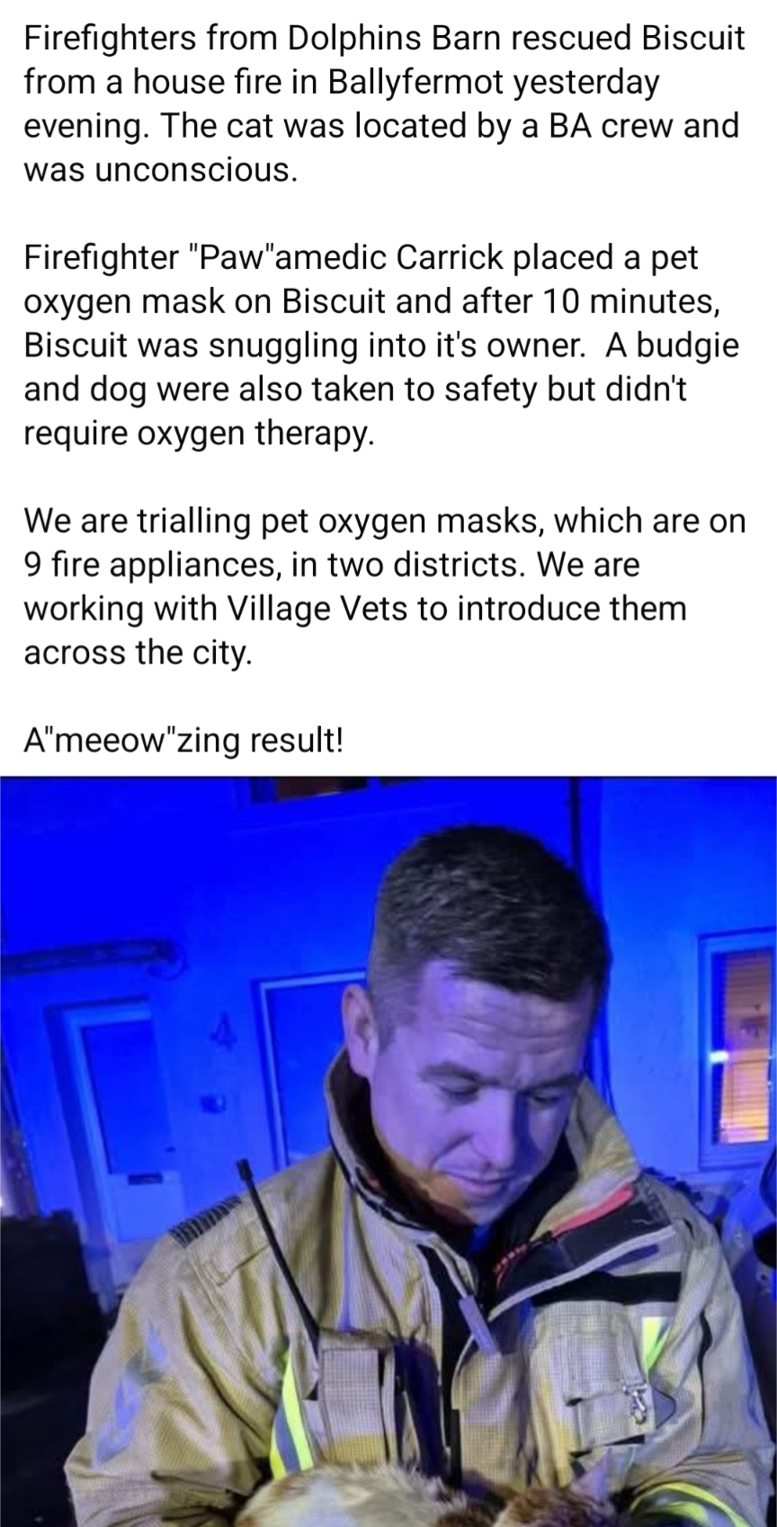 Pet Oxygen Masks: A Heartwarming Story for Biscuit and Family!