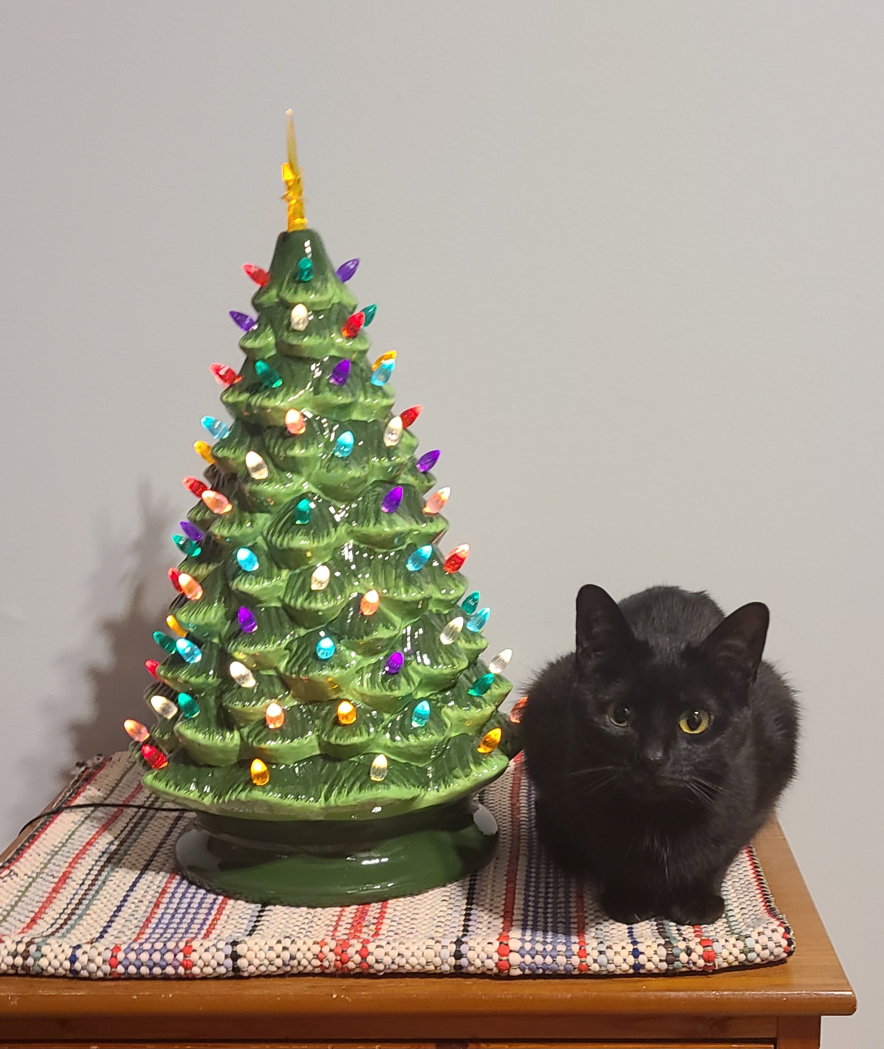 Selina's Persistent Meows Led to This Adorable Snapshot