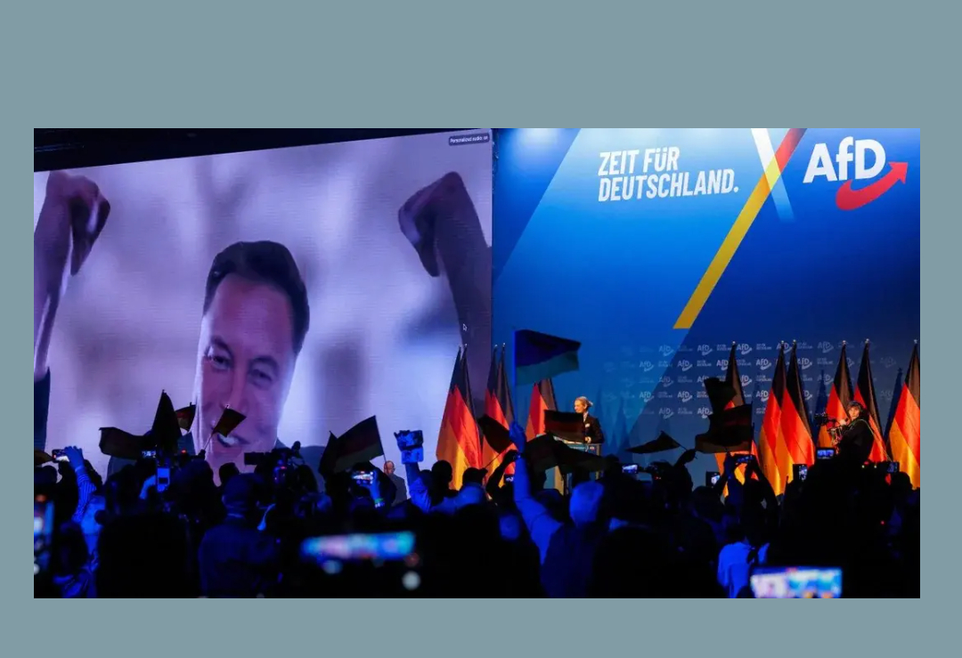 Perfectly Timed Shot: Adolf Musk at an AfD Rally