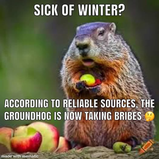 Celebrating Groundhog Day: A Tradition Like No Other