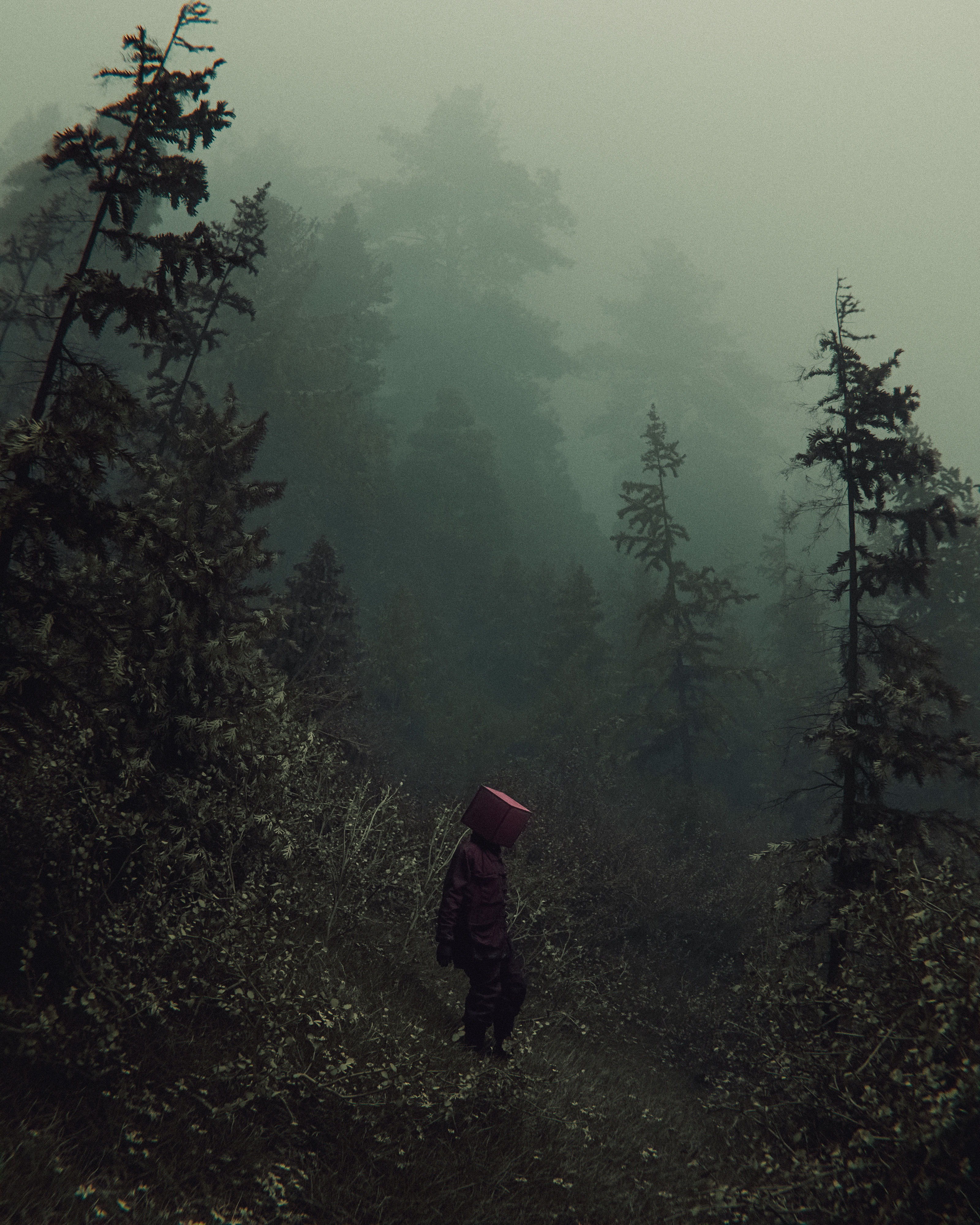 A Quiet Refuge: A Piece by Huleeb