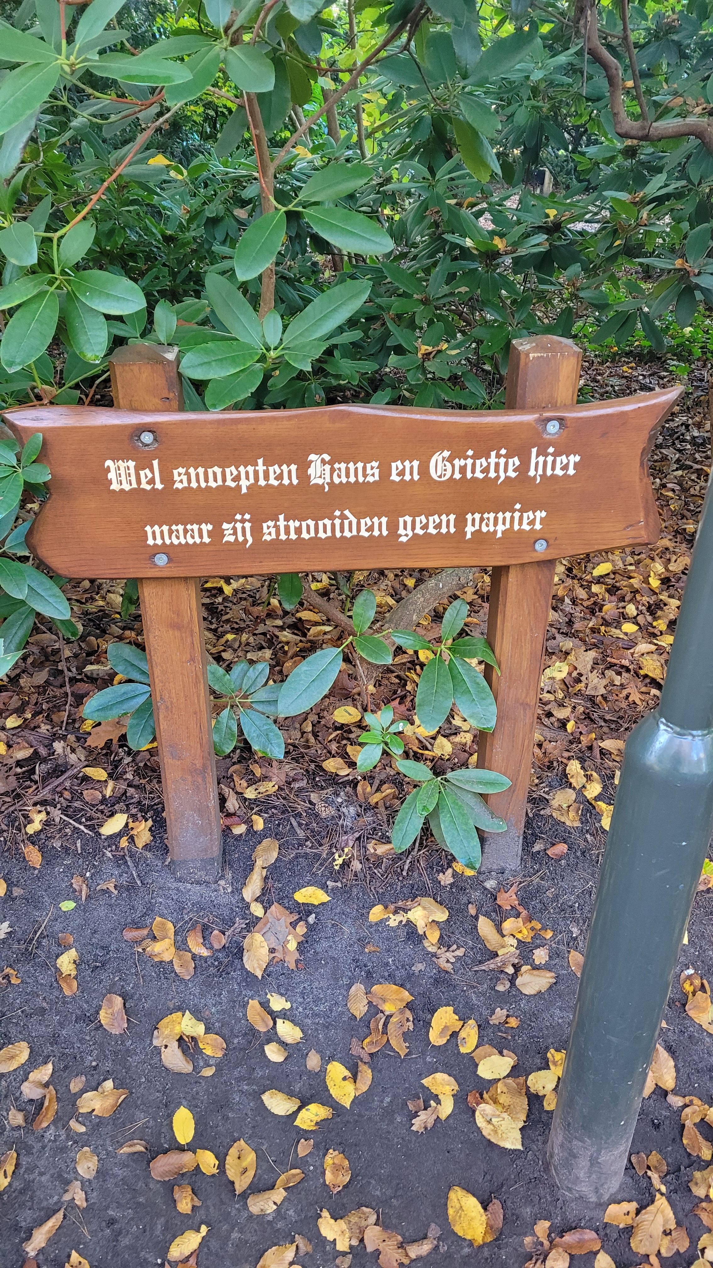 What Now? All the Signs from the Fairytale Forest in Efteling? It Can't Get Any Crazier!