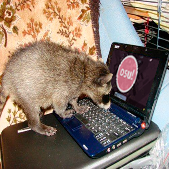 The Mischievous Raccoon