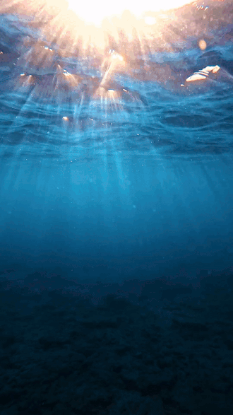 The Tranquil Beauty of the Sea