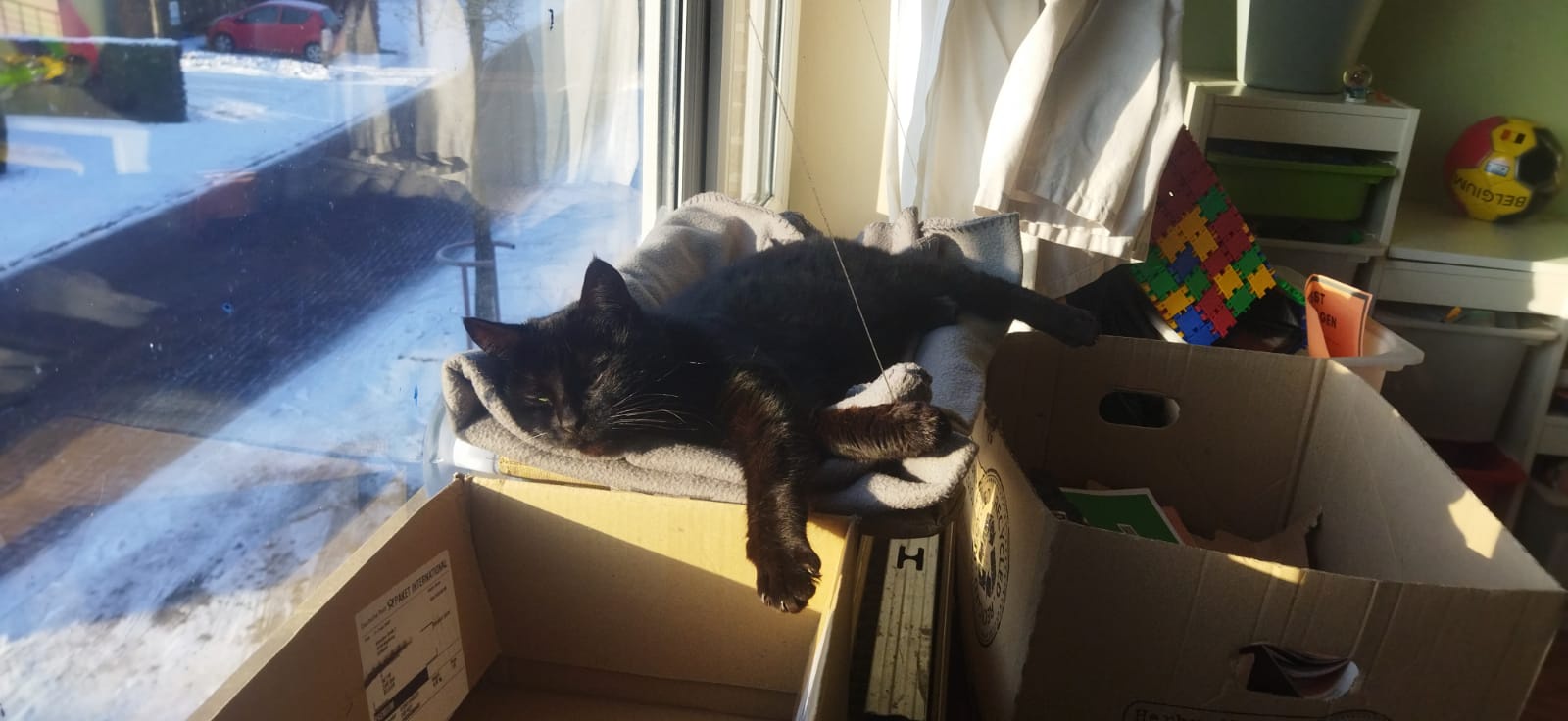 Finding Comfort: It's Always Better Inside
