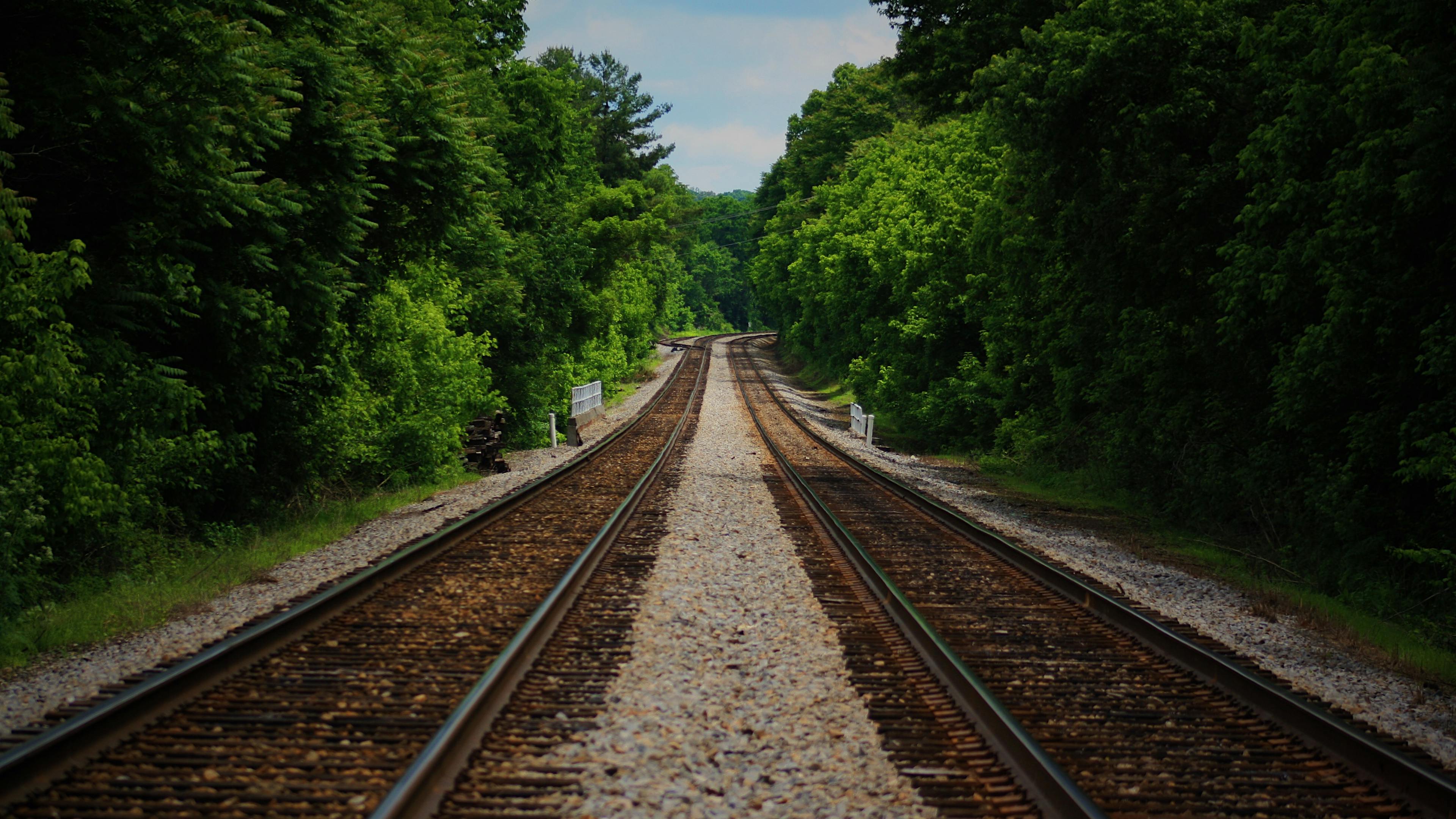 A Scenic Journey: Railway Tracks Beneath the Lush Canopy