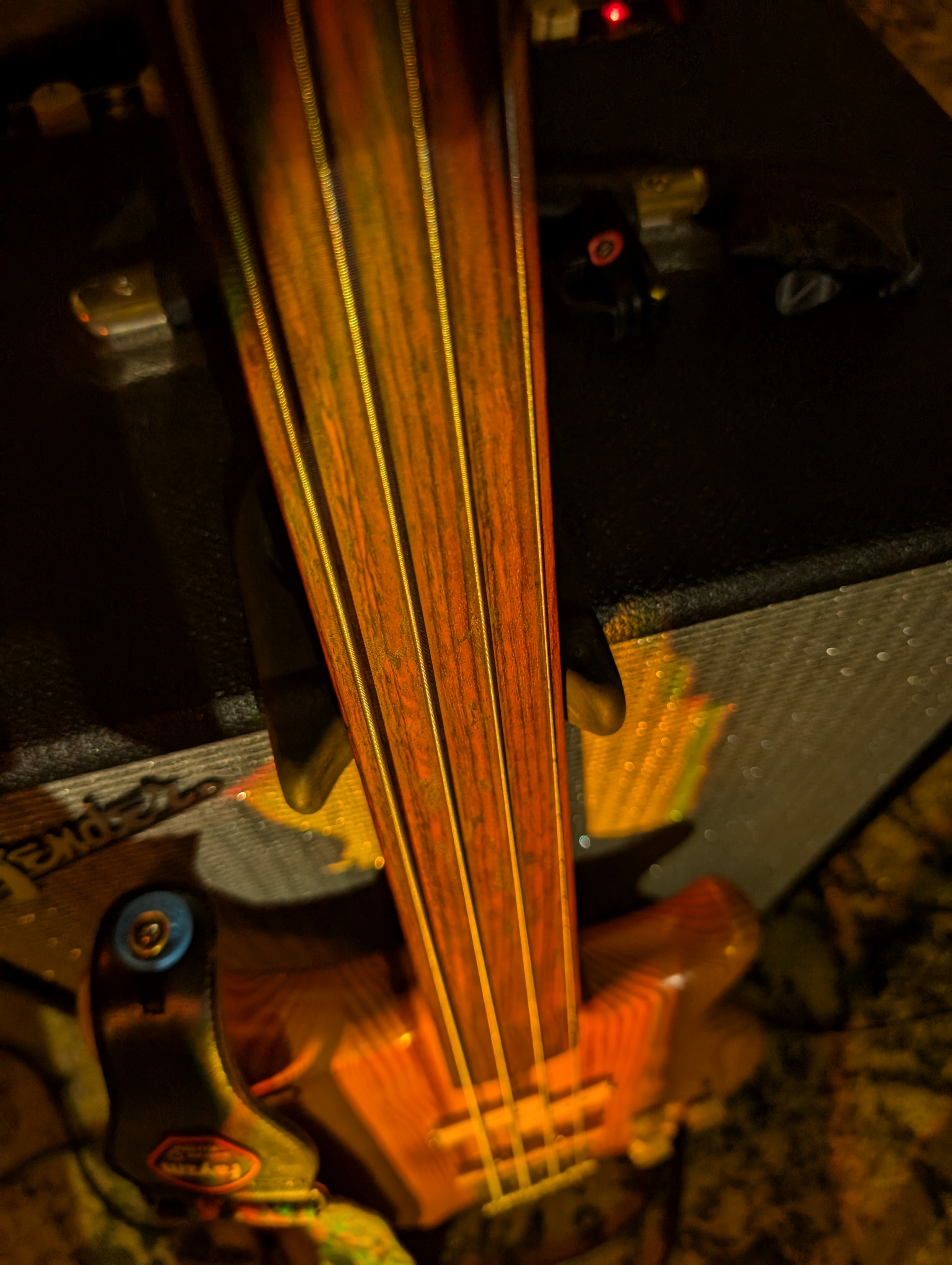 Exploring the Unique Sound of a Fretless Bass