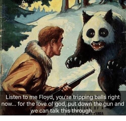 Hang in There, Just a Moment...