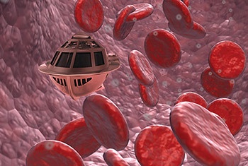 Embark on a Fantastic Voyage!