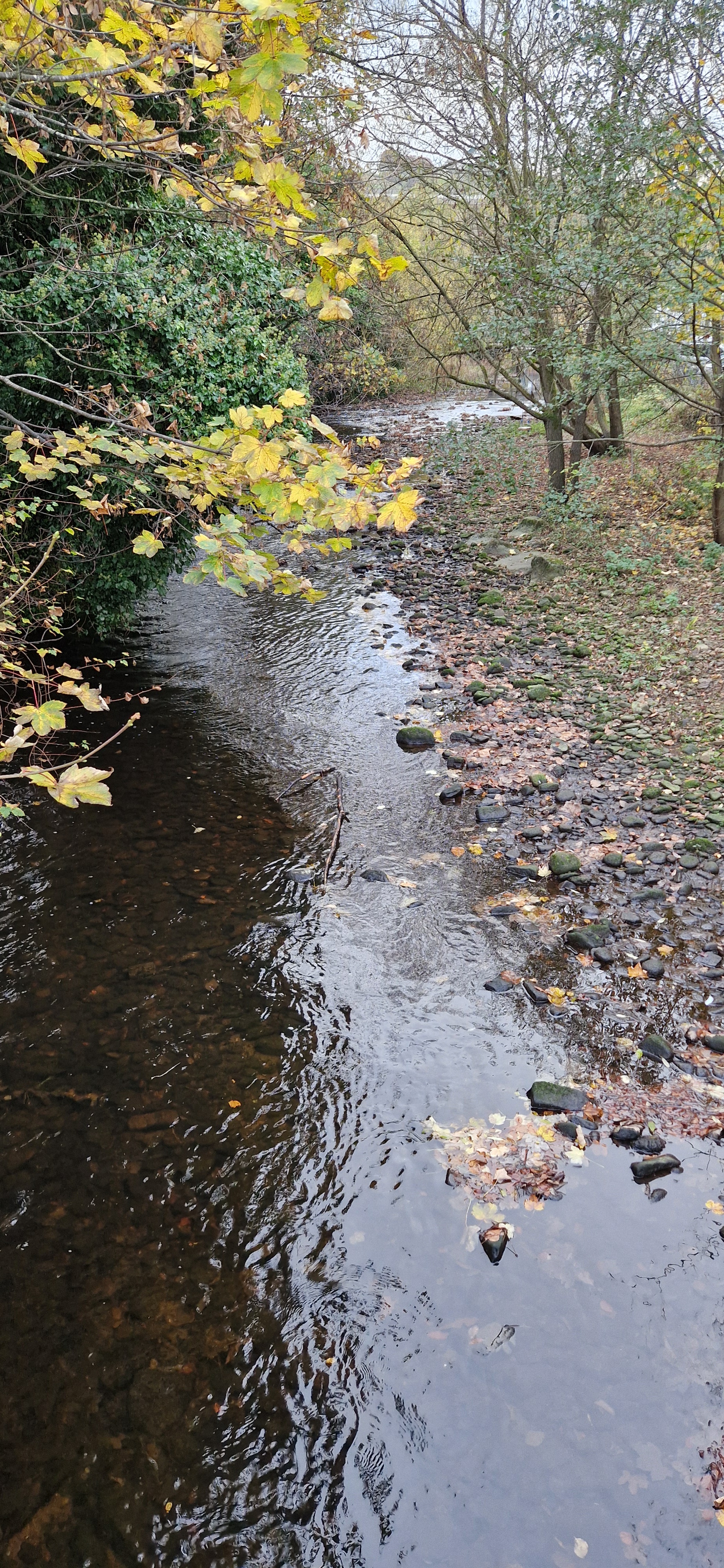 Embracing Autumn in Yorkshire During Challenging Times