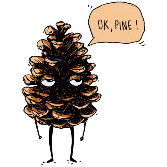 When a Pig Meets a Pinecone: The Adorable Porkypine Mashup