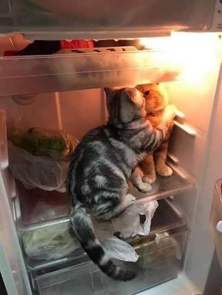 Imagine if we shared a sweet kiss inside the fridge!