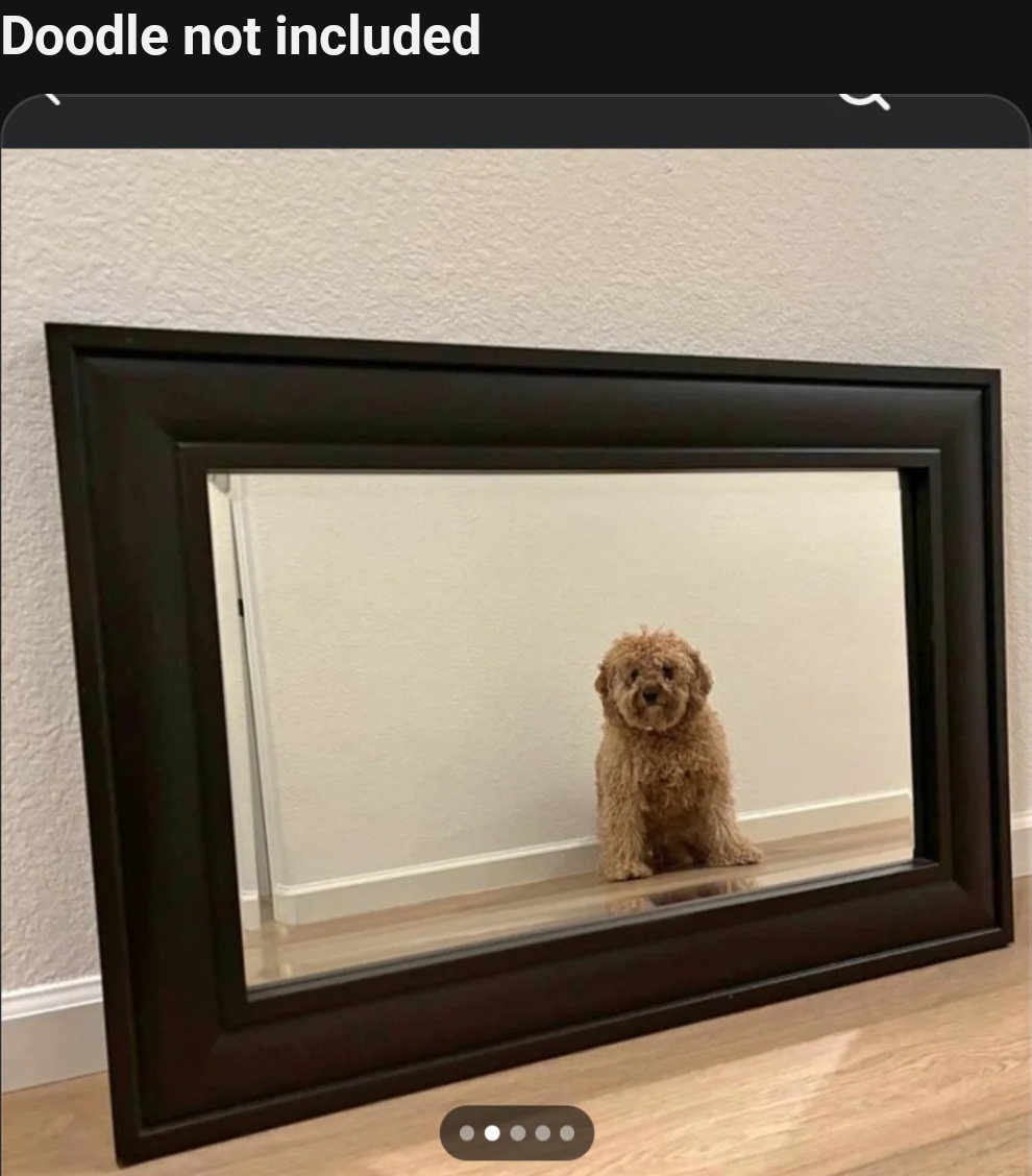 Discover the Hilarious World of Online Mirror Sales on This Subreddit